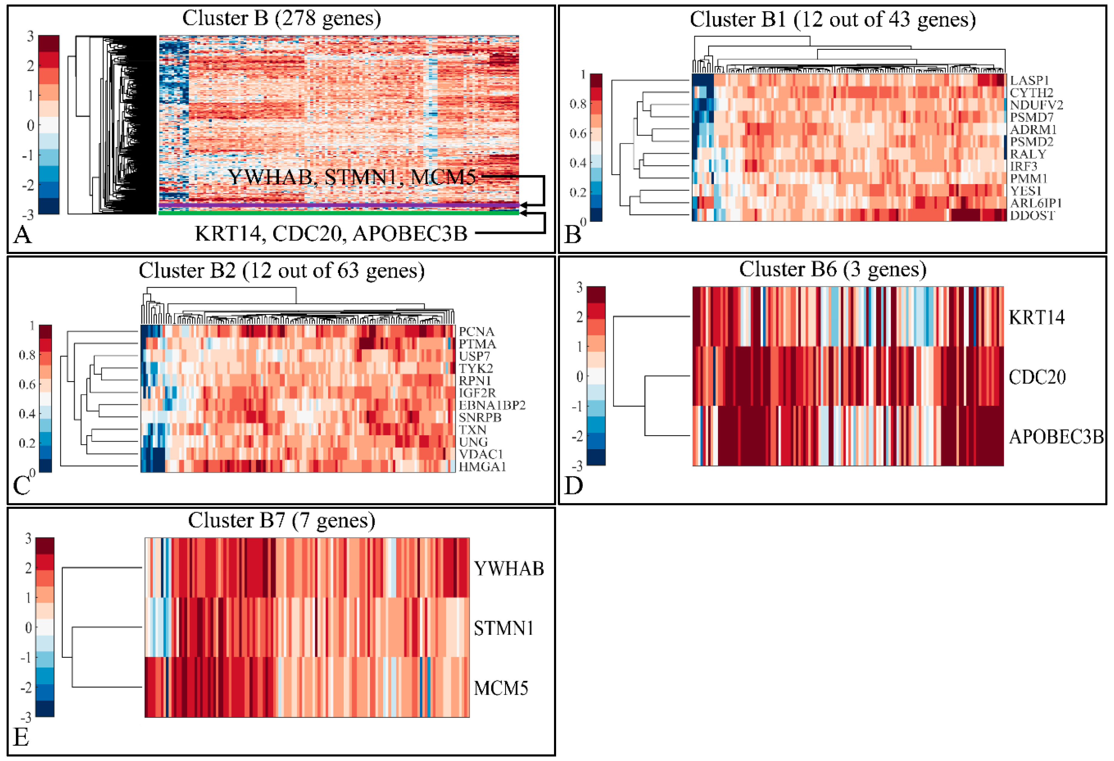 Applsci 11 01785 g006 Applsci 11 01785 g006