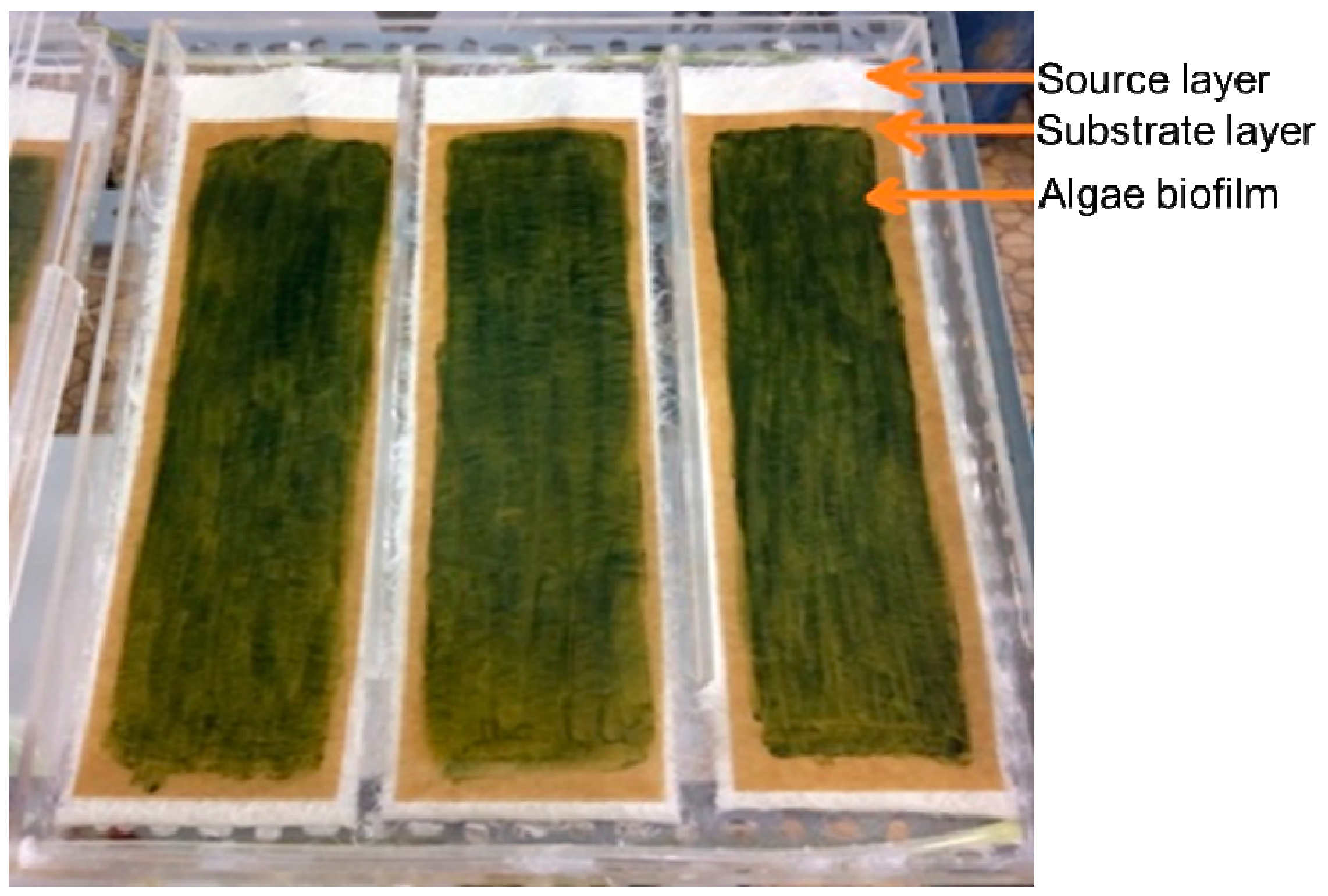 Applsci 11 01788 g001