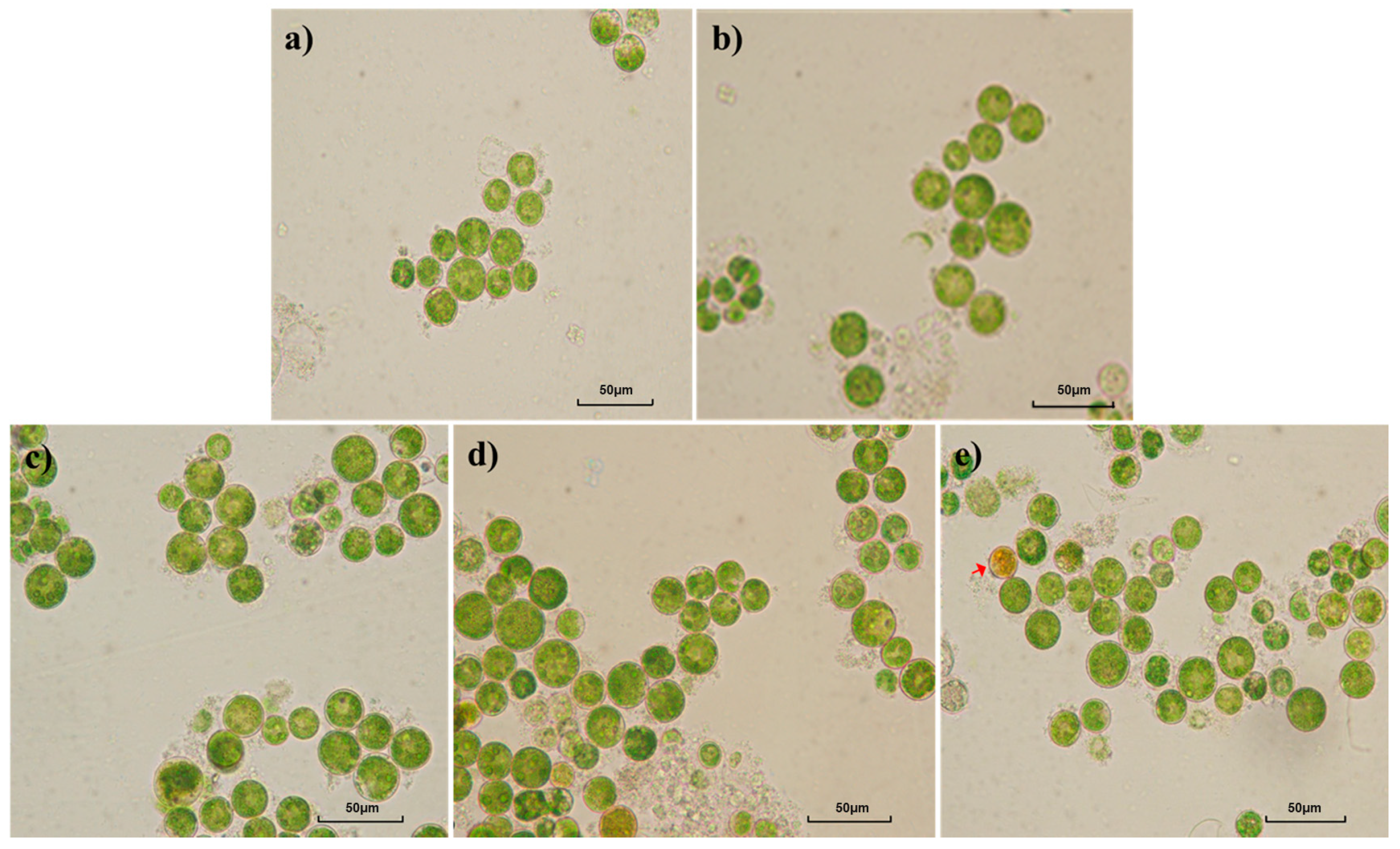 Applsci 11 01788 g004