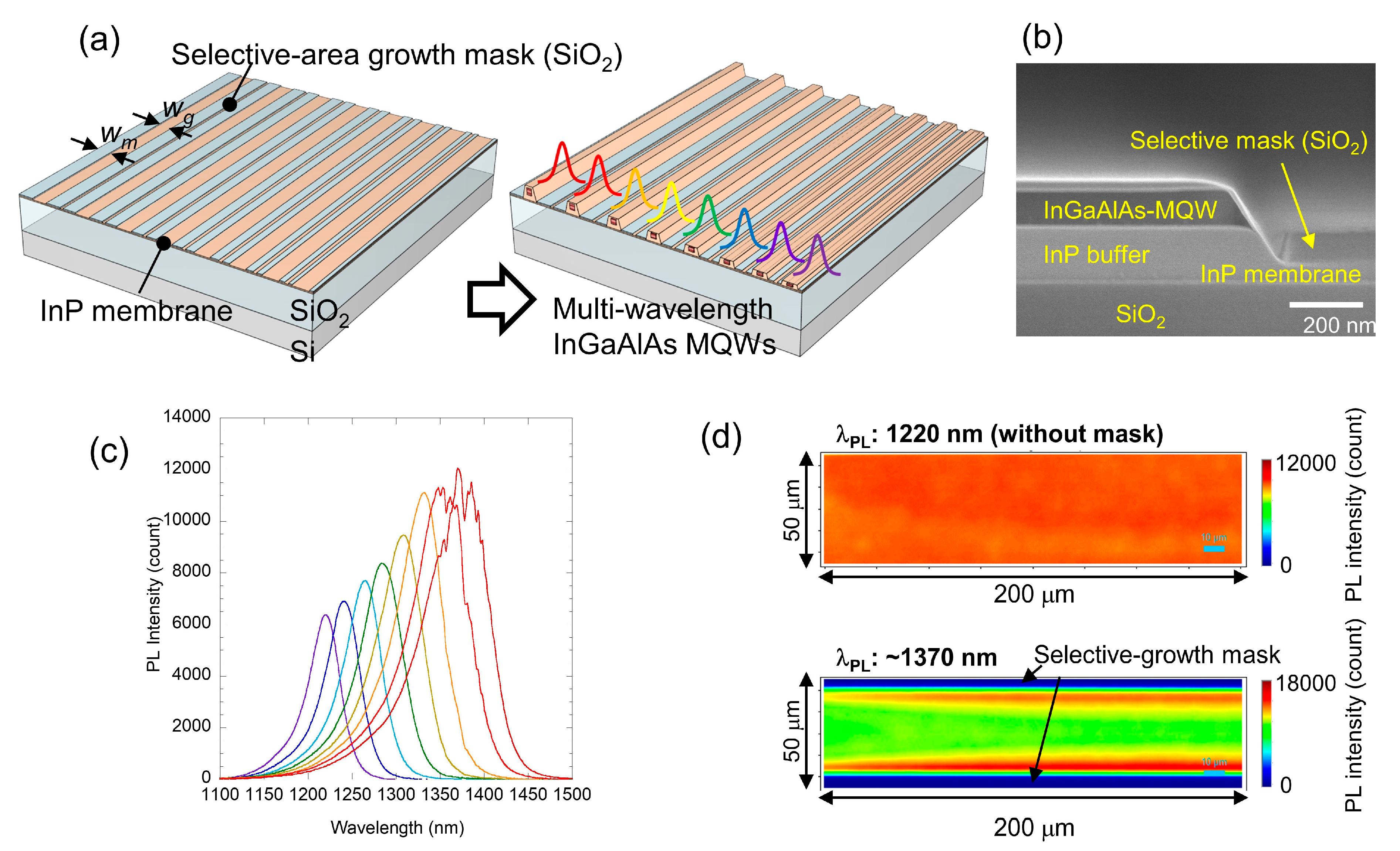 Applsci 11 01801 g013 Applsci 11 01801 g013