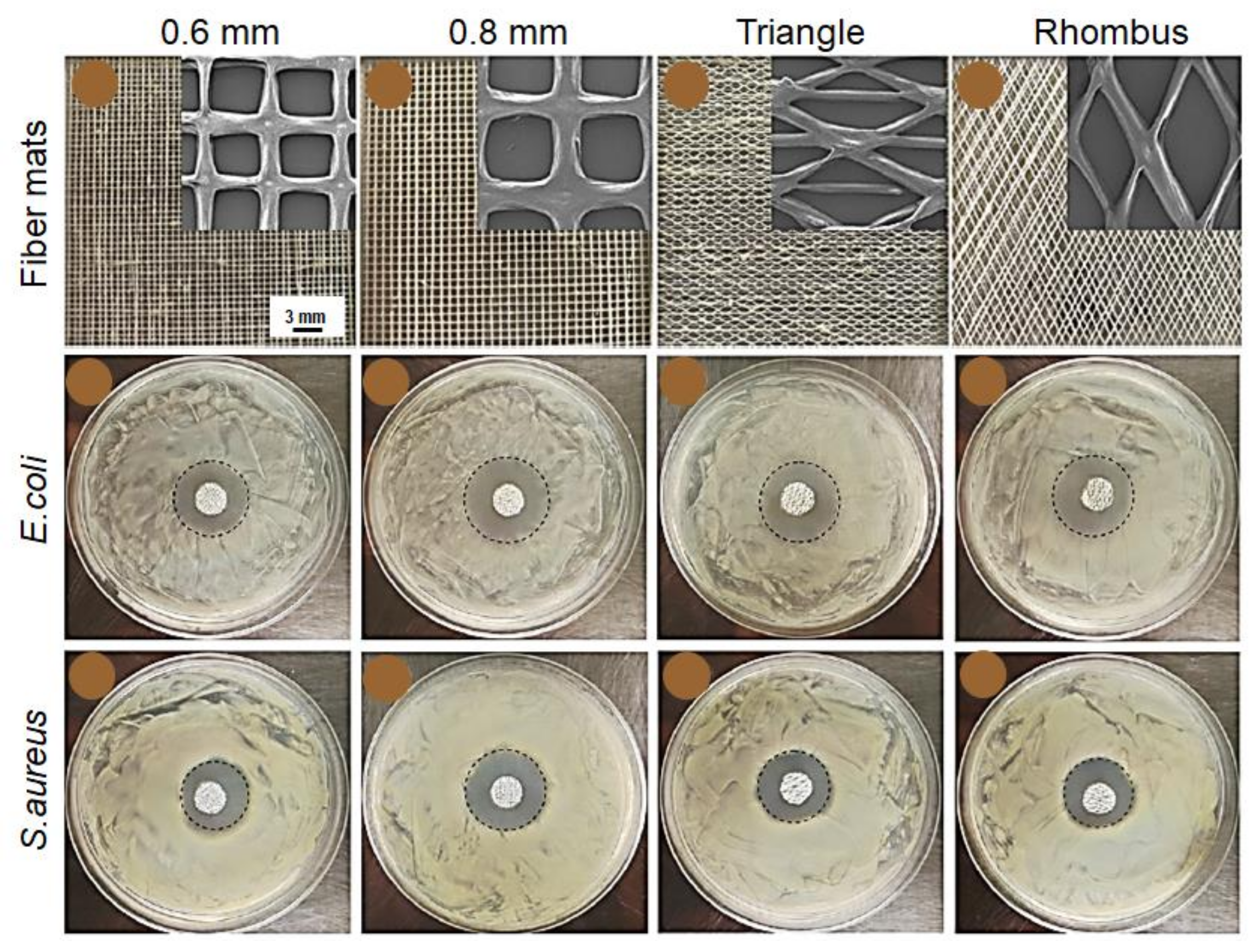 Applsci 11 01808 g008 Applsci 11 01808 g008