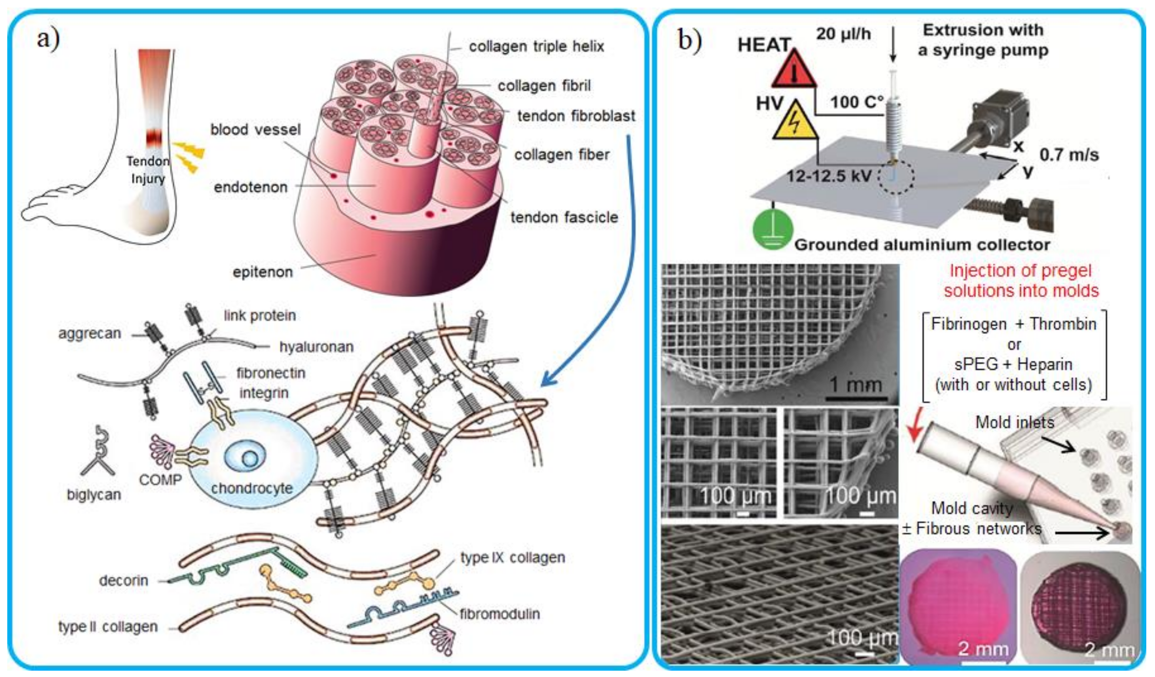 Applsci 11 01808 g014 Applsci 11 01808 g014