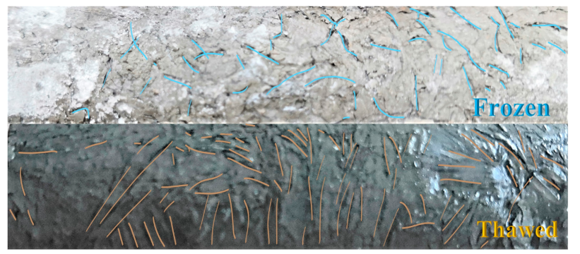 Applsci 11 01810 g009