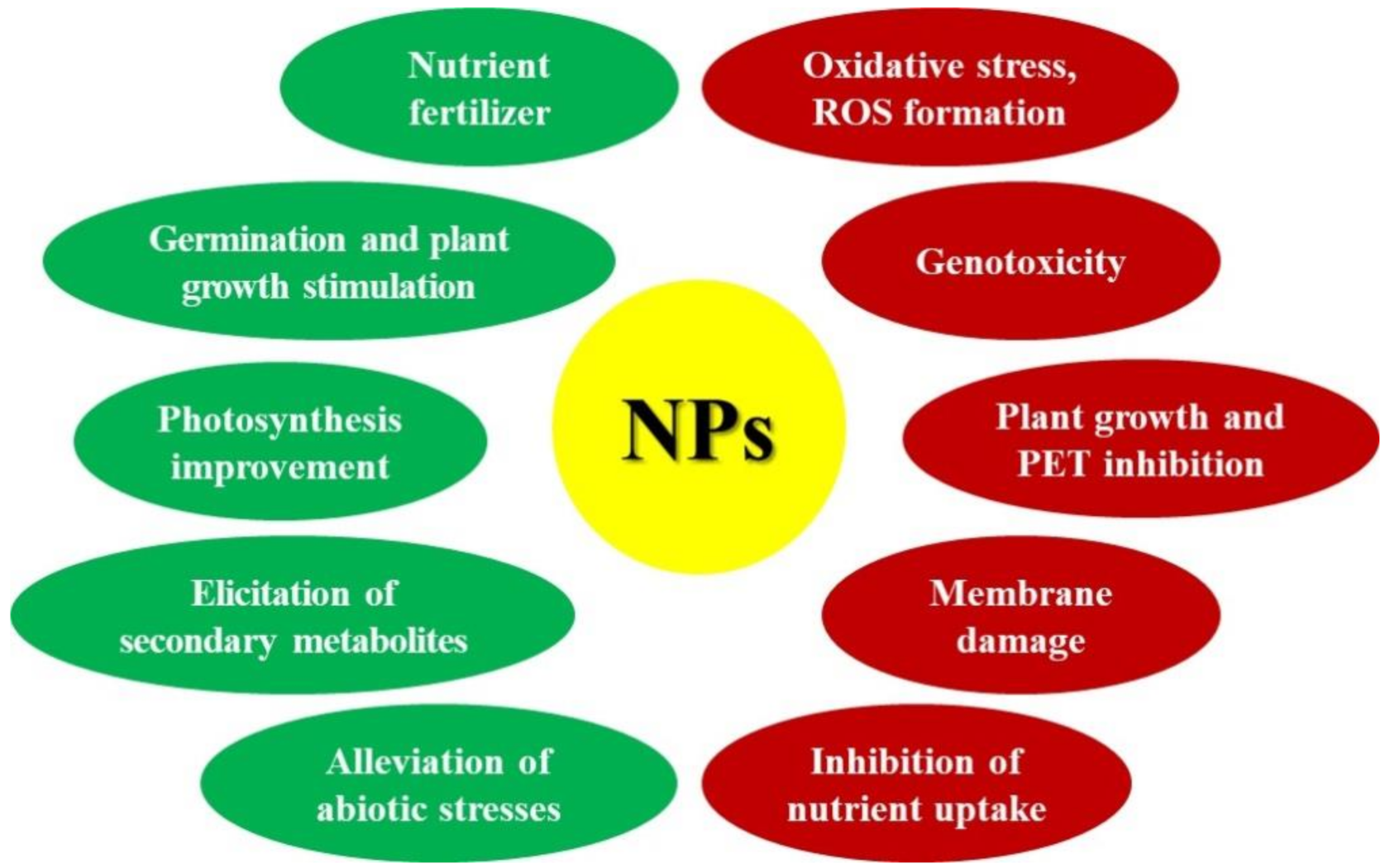 Applsci 11 01813 g002 Applsci 11 01813 g002