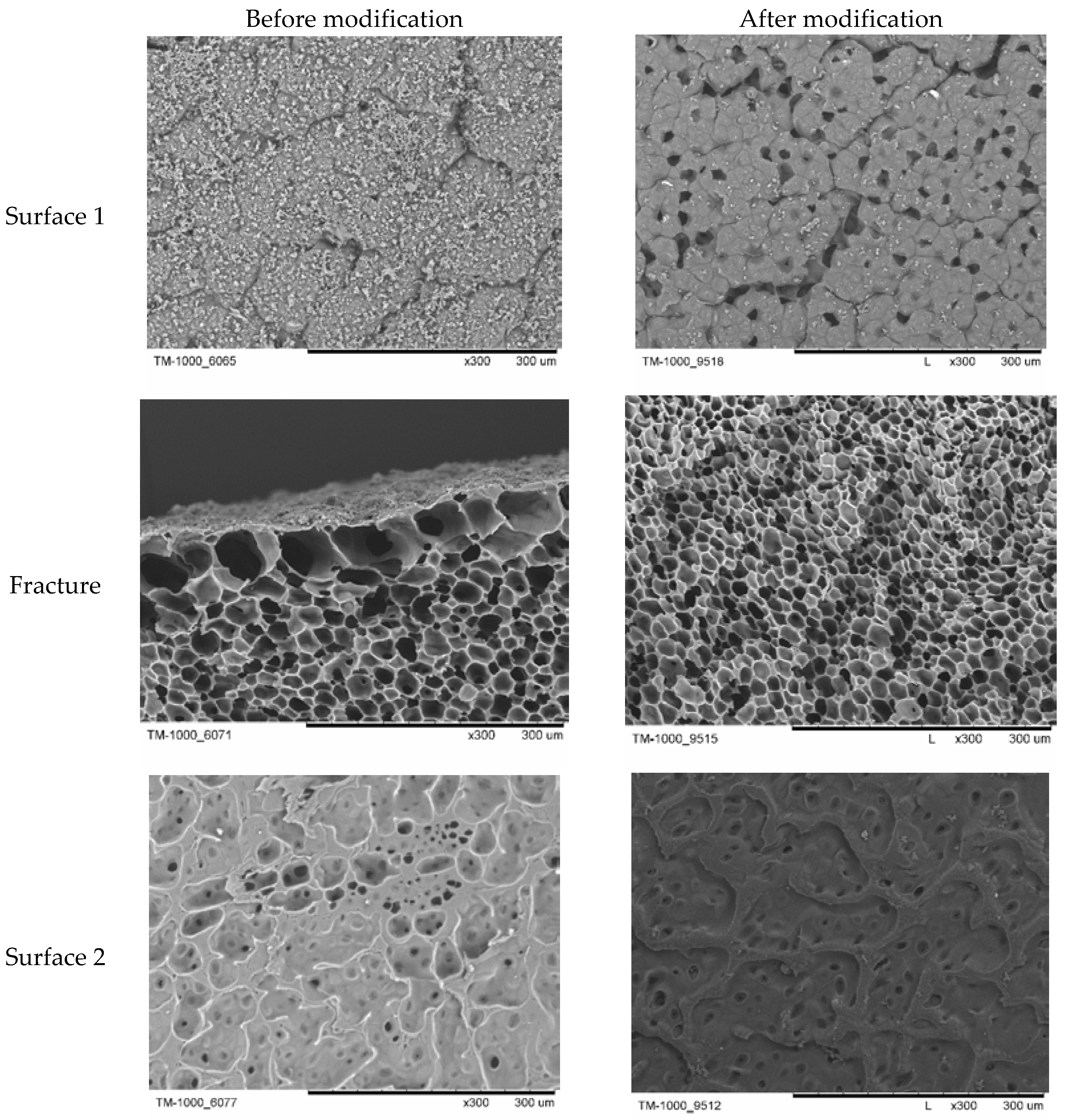 Applsci 11 01815 g006