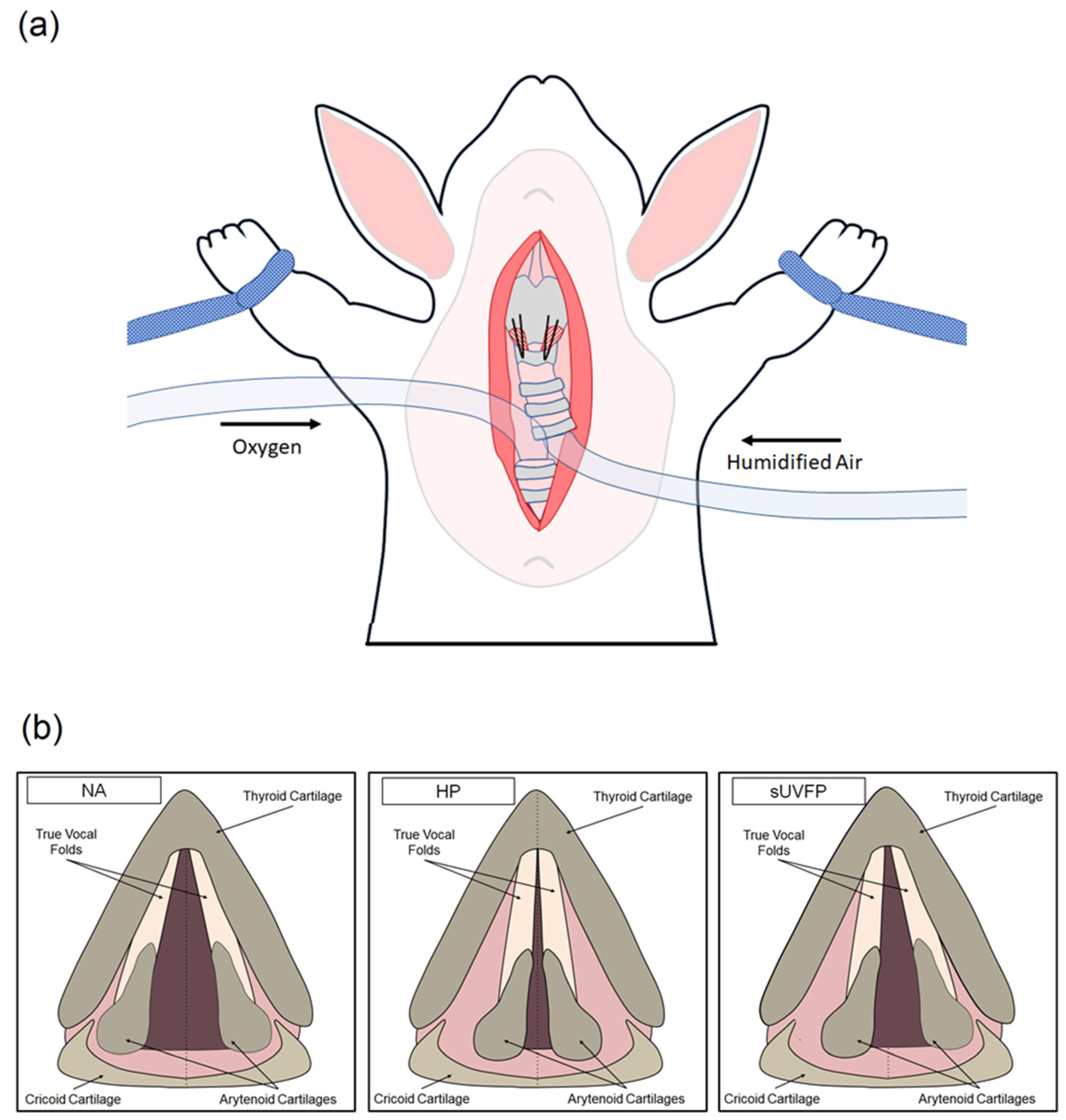 Applsci 11 01817 g001 Applsci 11 01817 g001