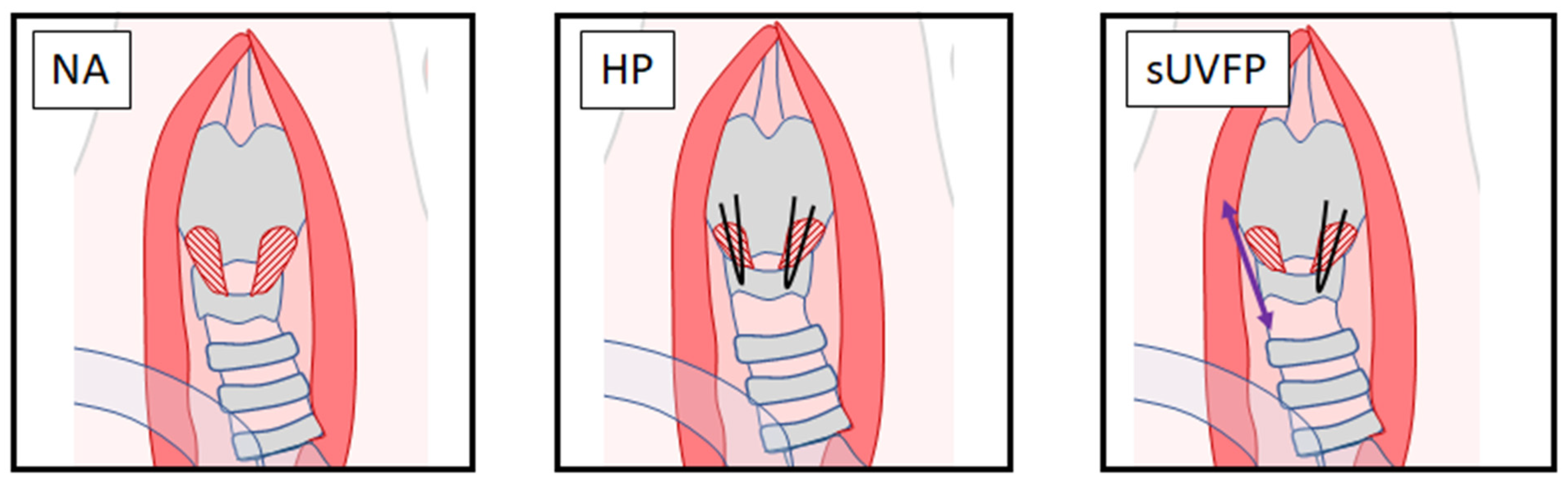 Applsci 11 01817 g002 Applsci 11 01817 g002