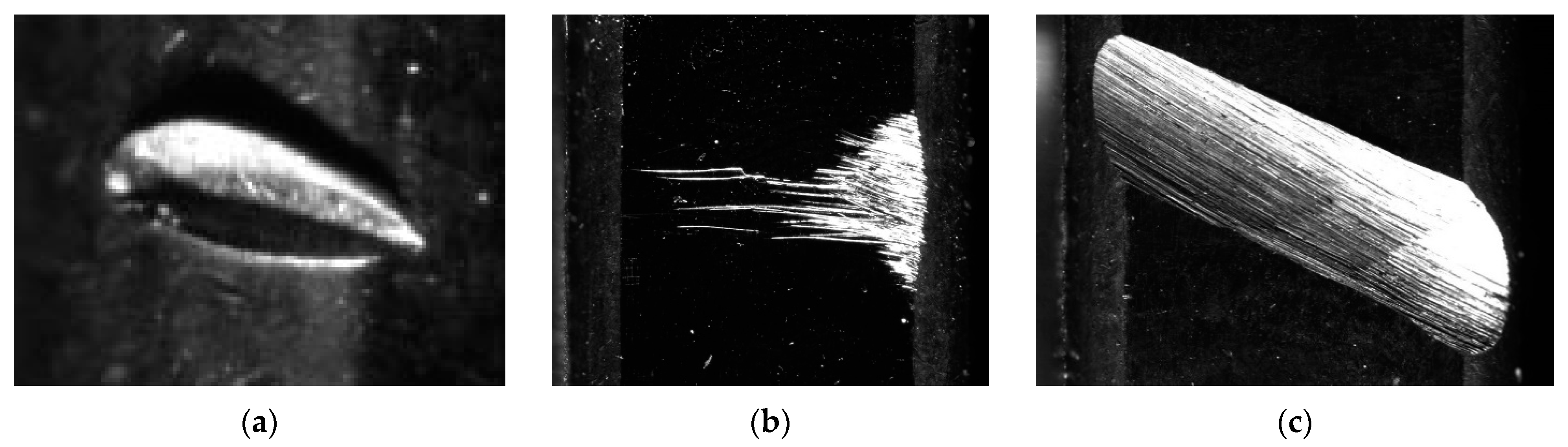 Applsci 11 01825 g007