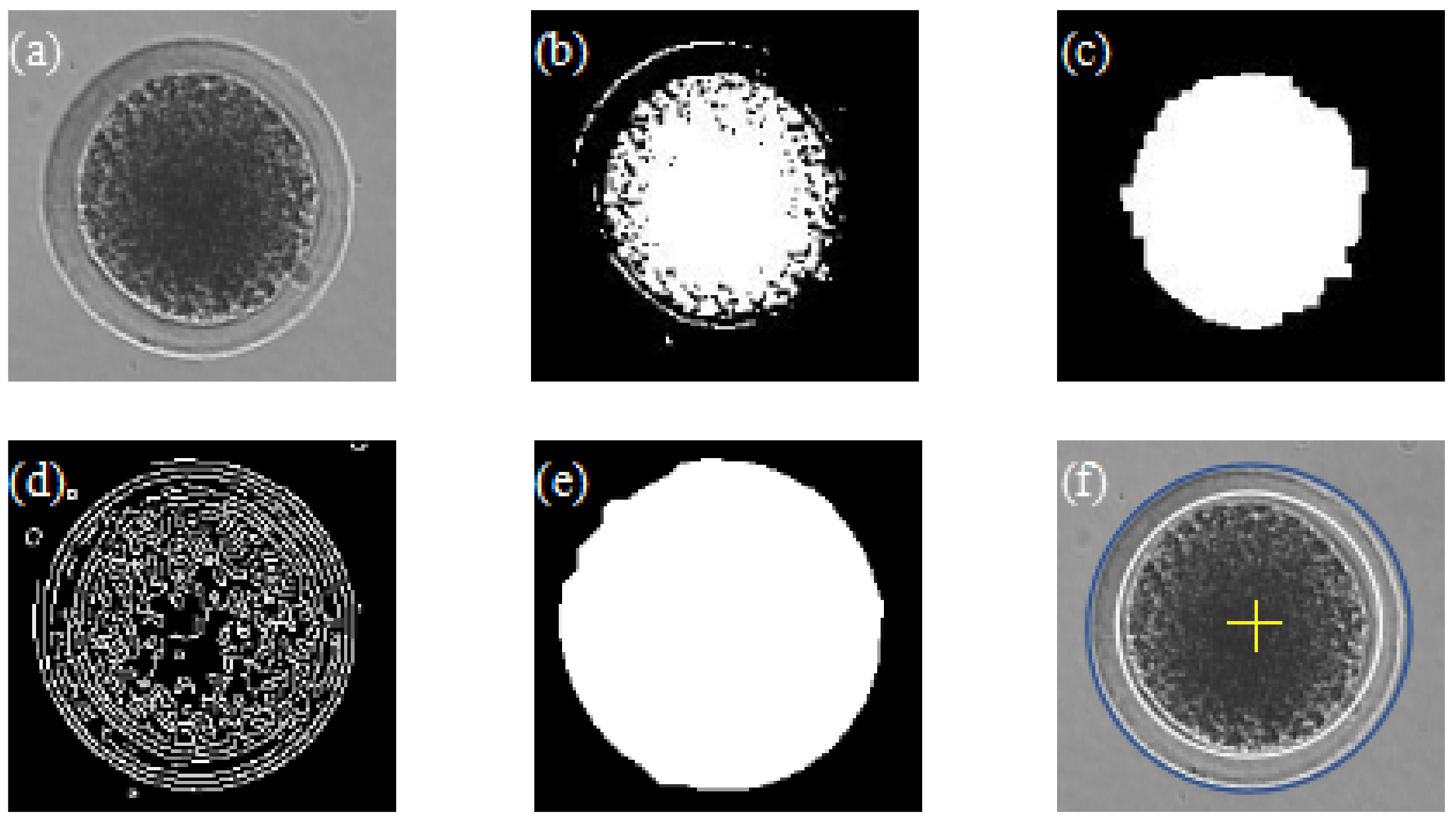 Applsci 11 01850 g002 Applsci 11 01850 g002