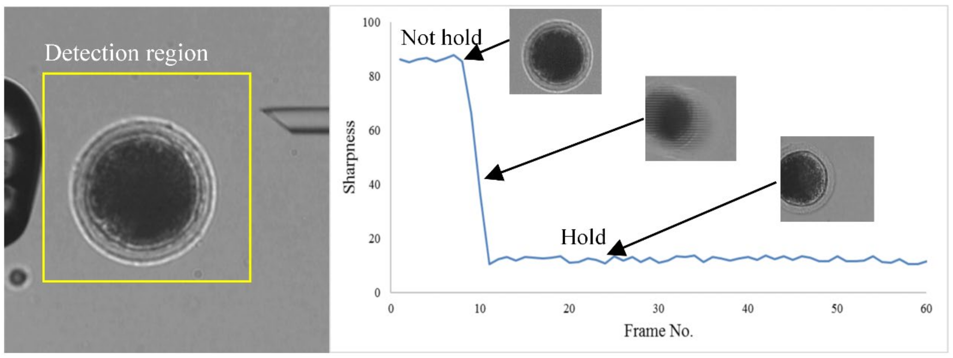 Applsci 11 01850 g005 Applsci 11 01850 g005
