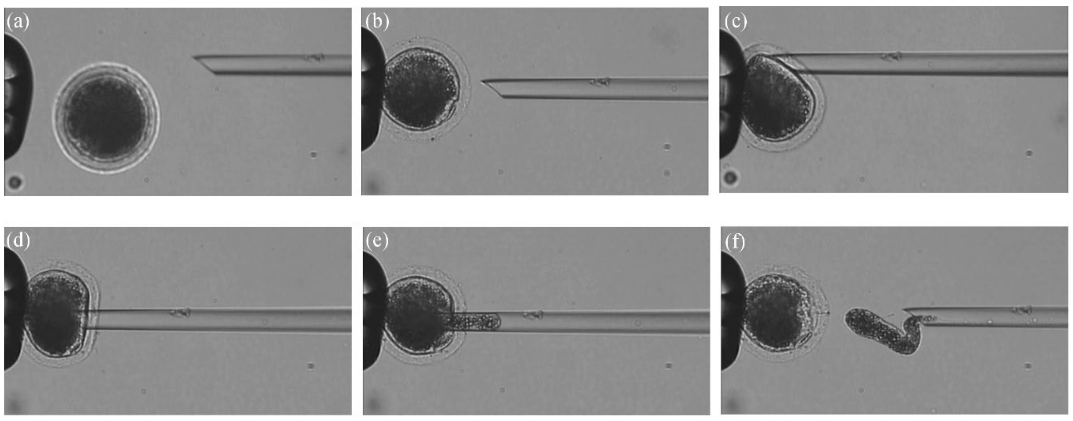 Applsci 11 01850 g011 Applsci 11 01850 g011