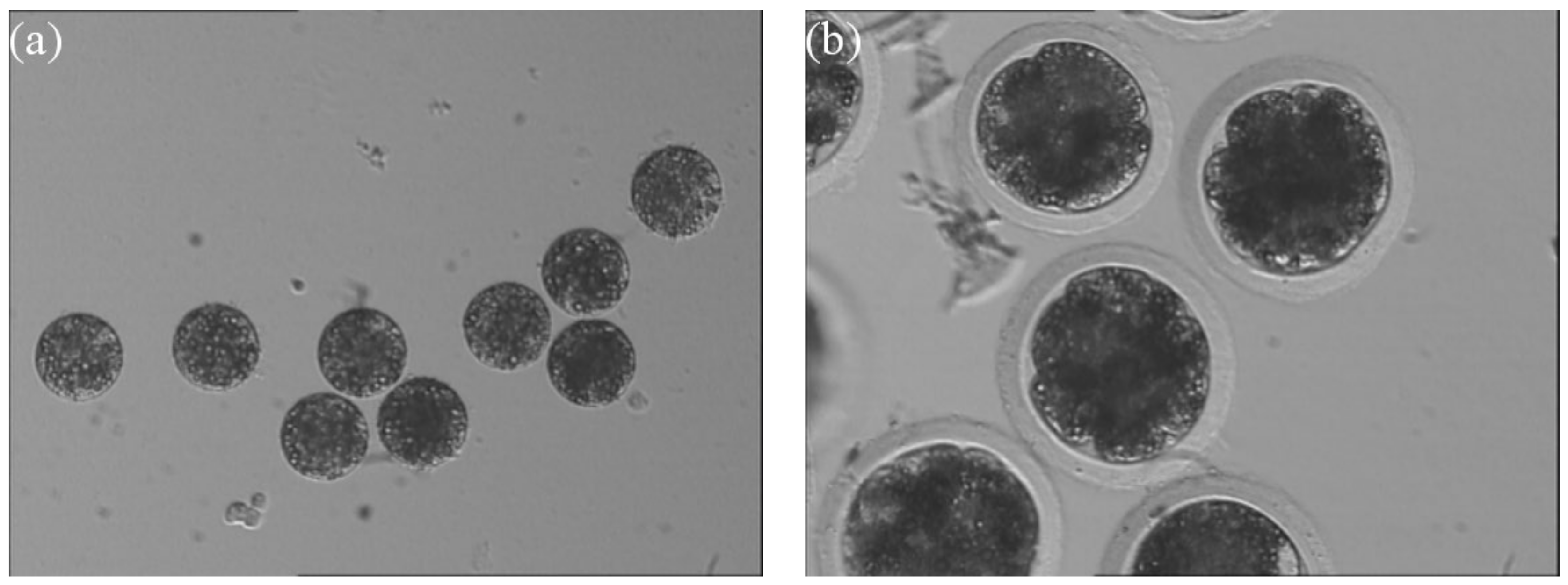 Applsci 11 01850 g012 Applsci 11 01850 g012