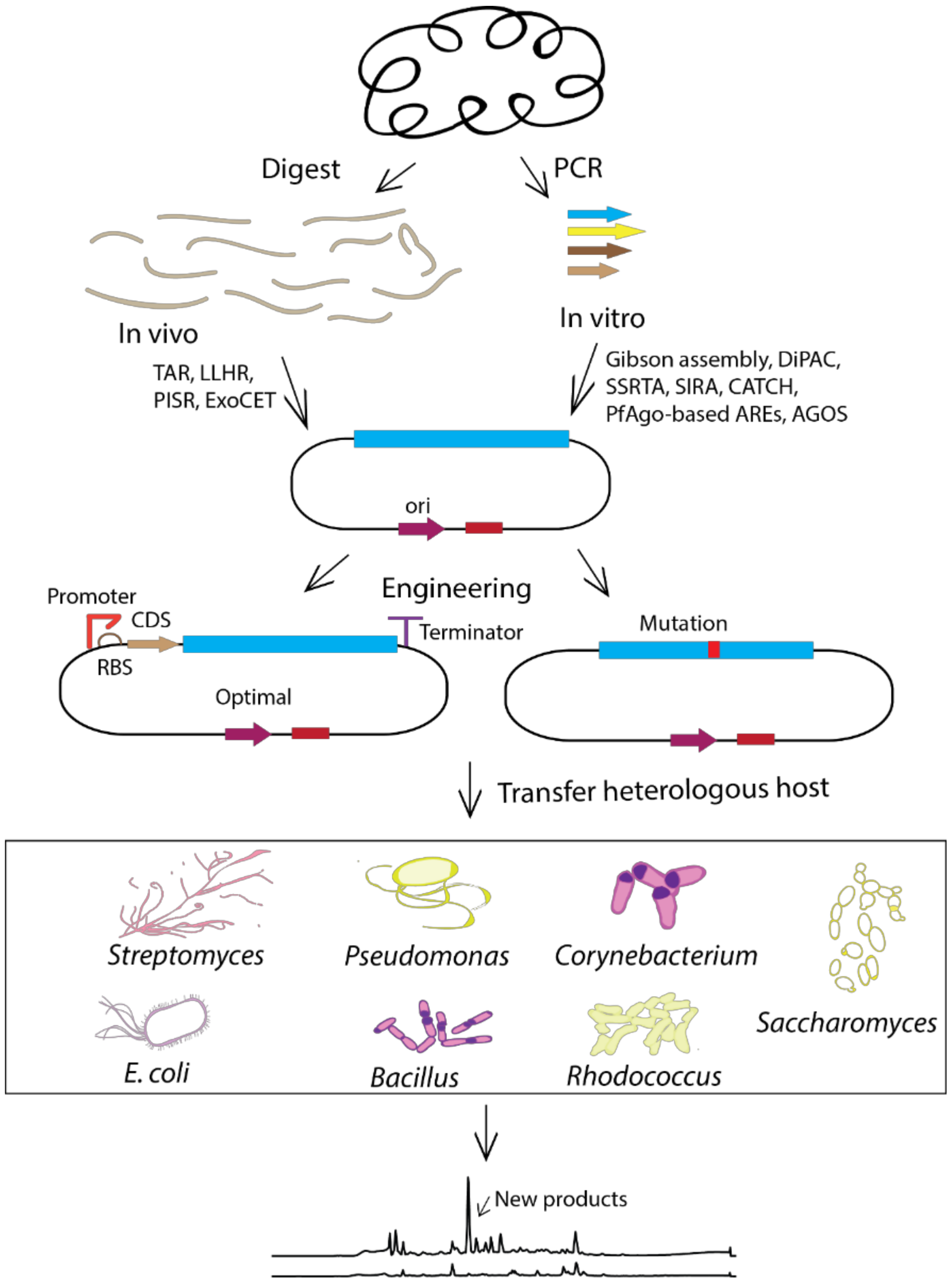 Applsci 11 01851 g002
