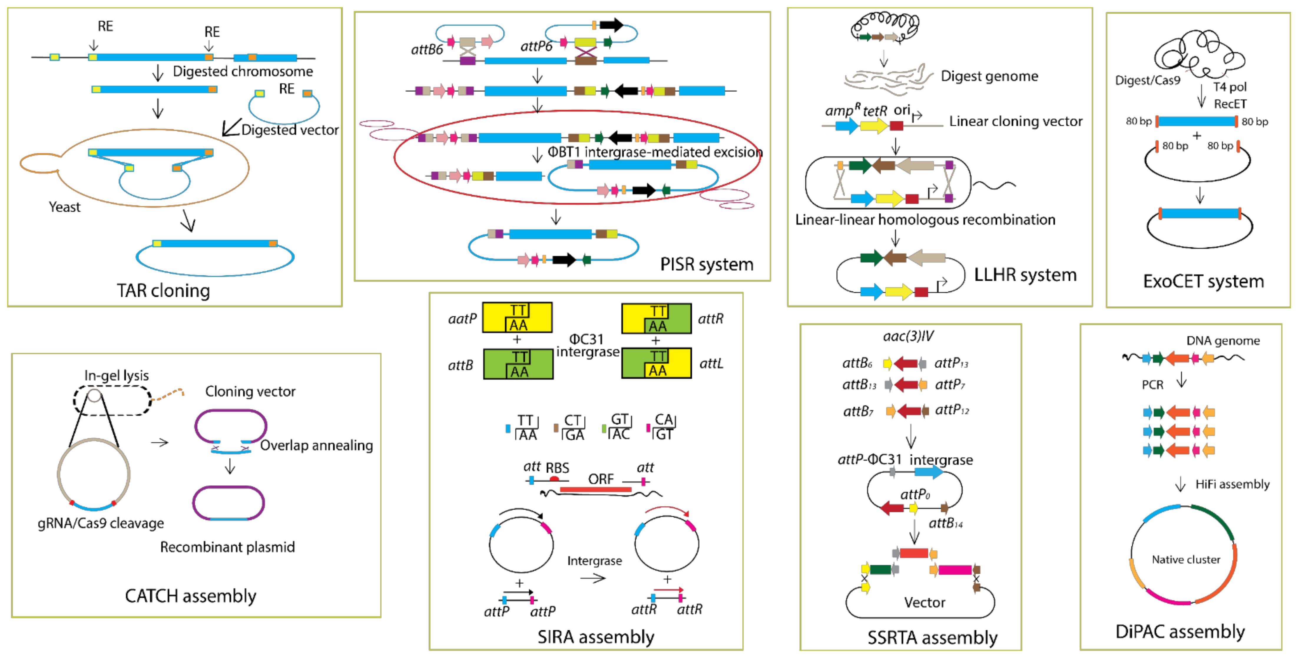 Applsci 11 01851 g003