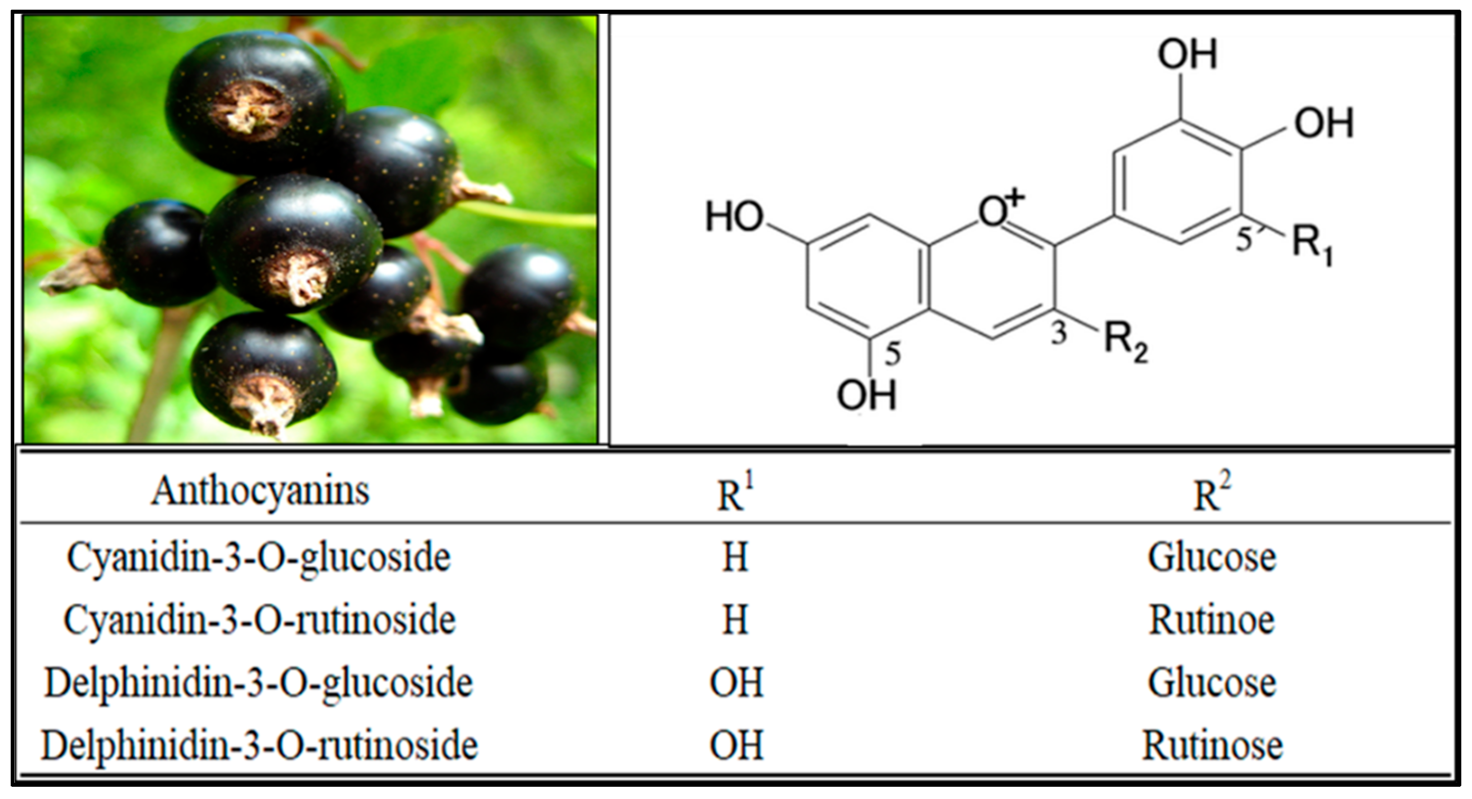 Applsci 11 01863 g002 Applsci 11 01863 g002