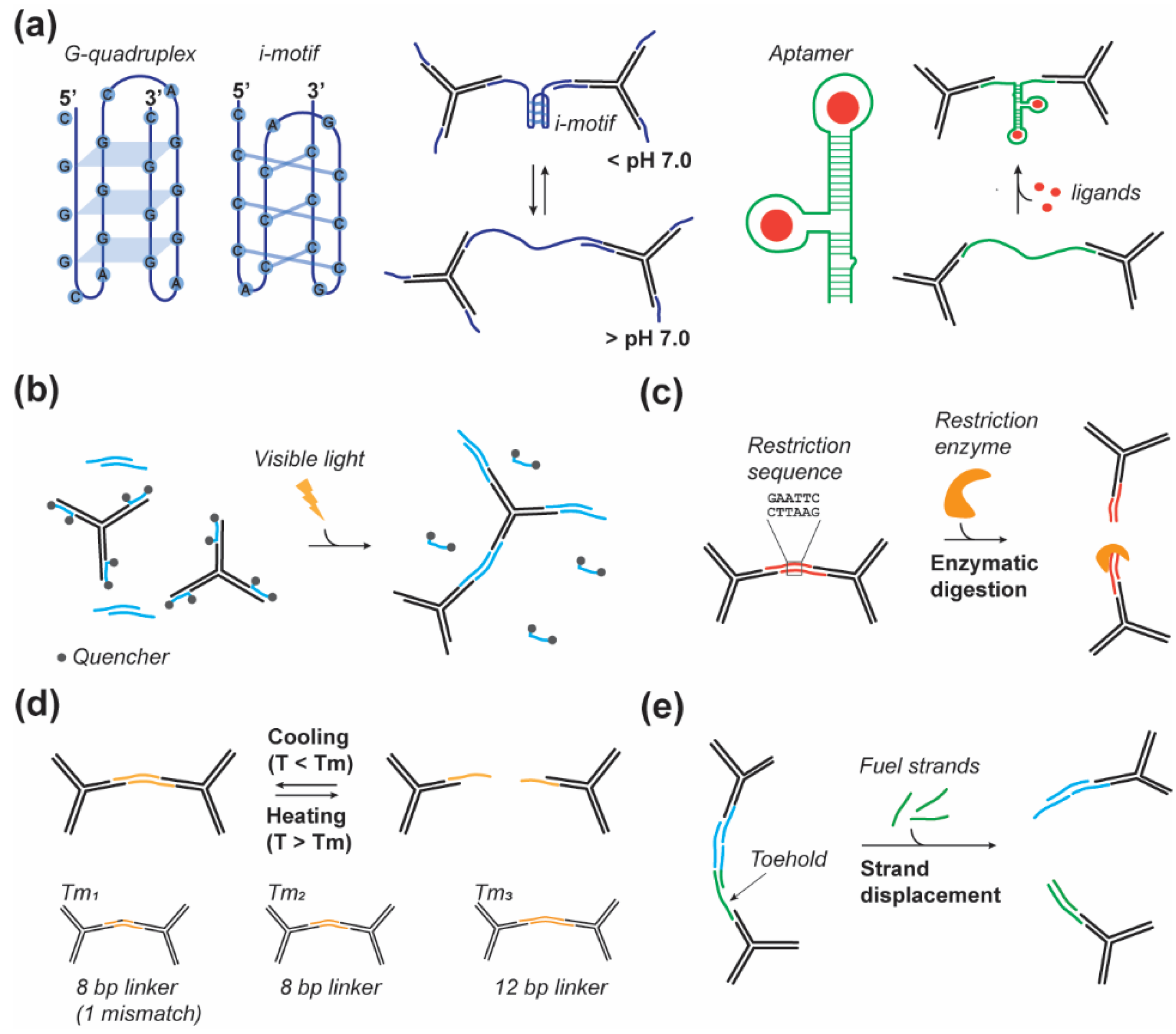 Applsci 11 01885 g002 Applsci 11 01885 g002