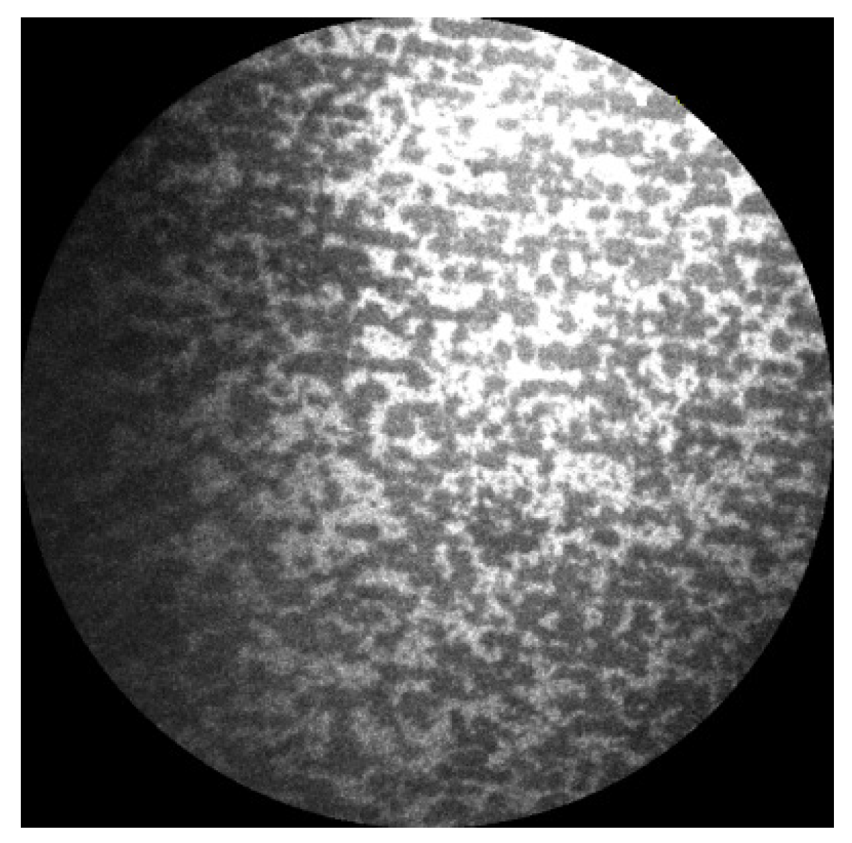 Applsci 11 01891 g004 Applsci 11 01891 g004