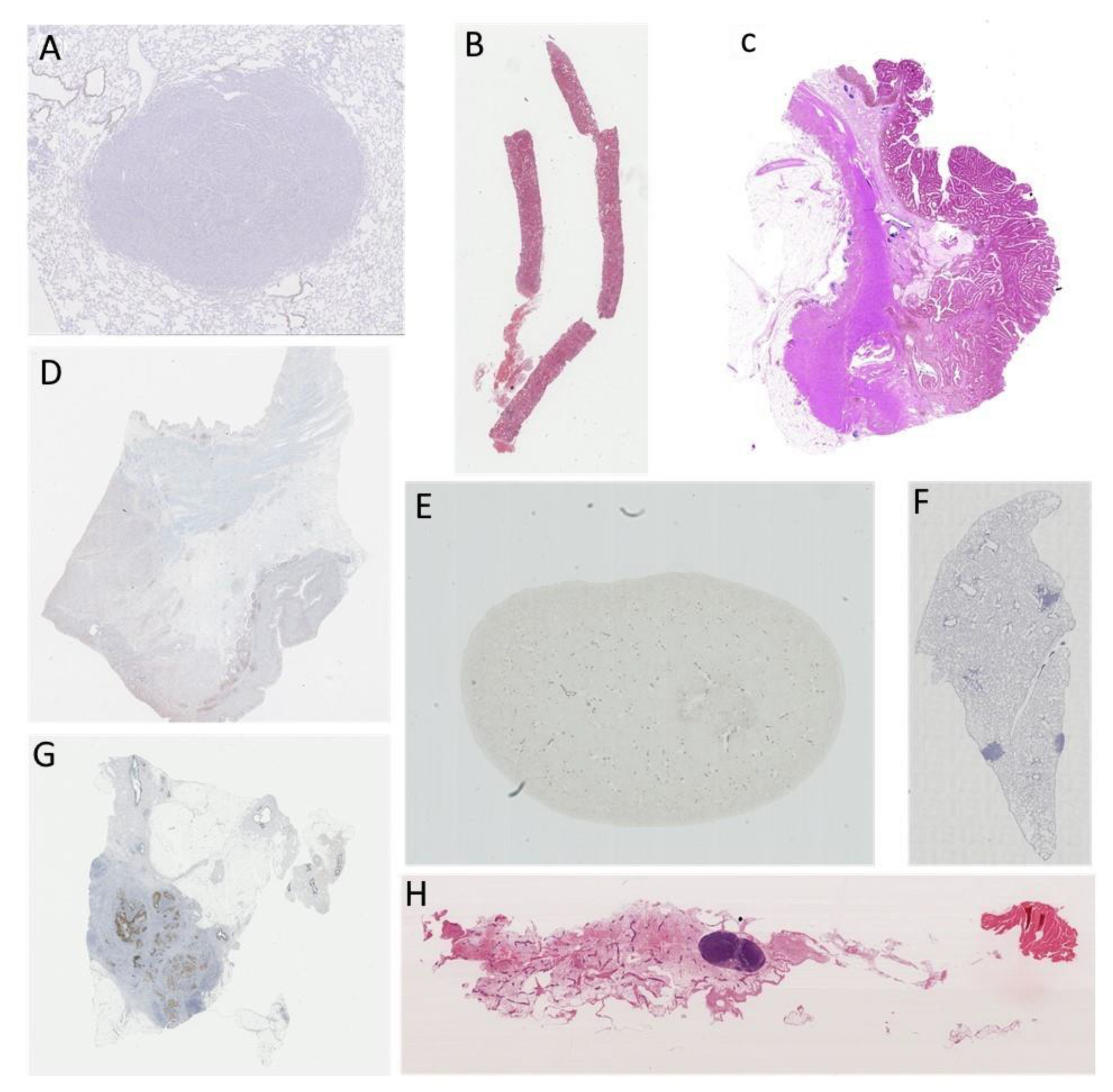 Applsci 11 01892 g002 Applsci 11 01892 g002