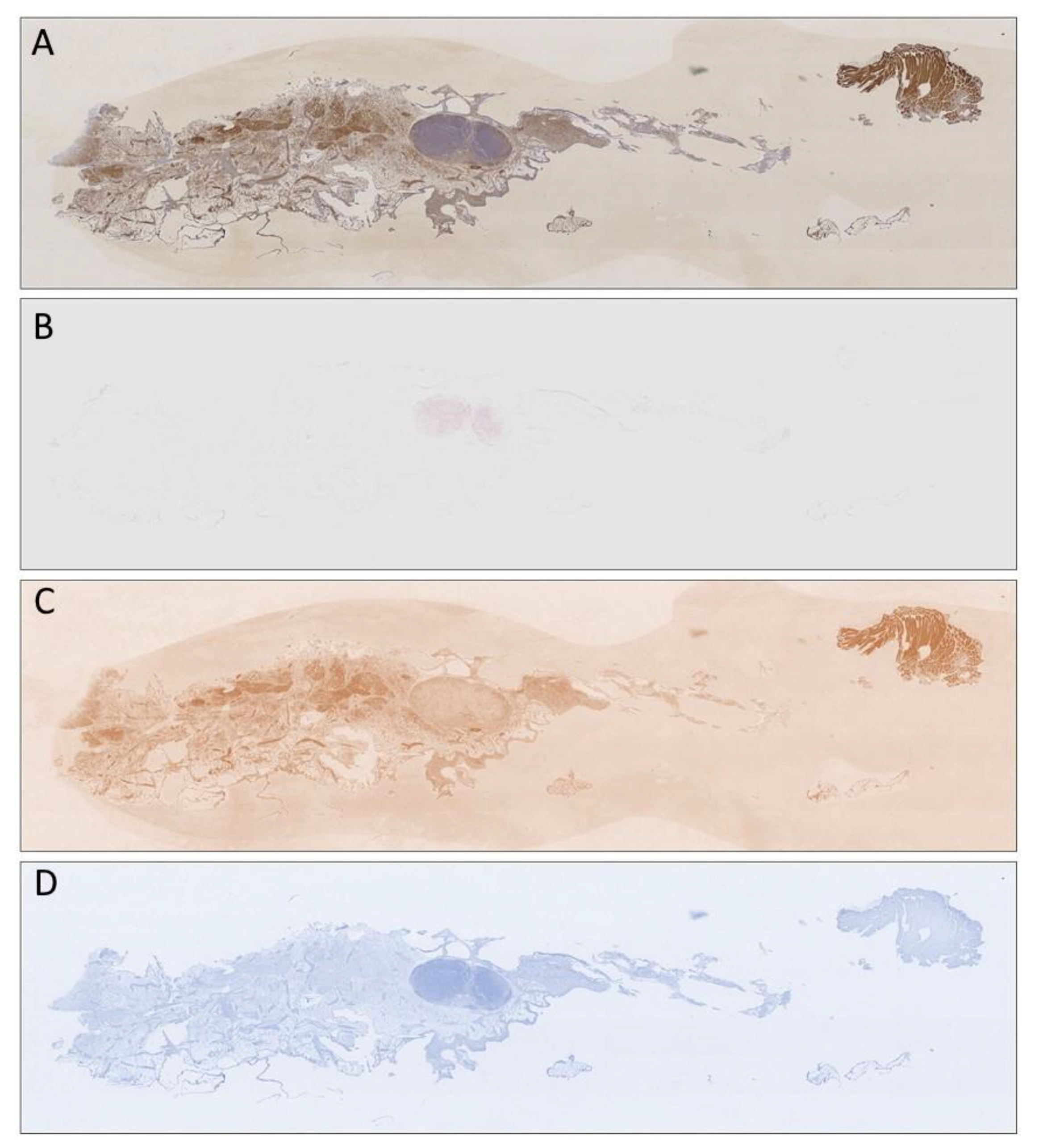 Applsci 11 01892 g003 Applsci 11 01892 g003