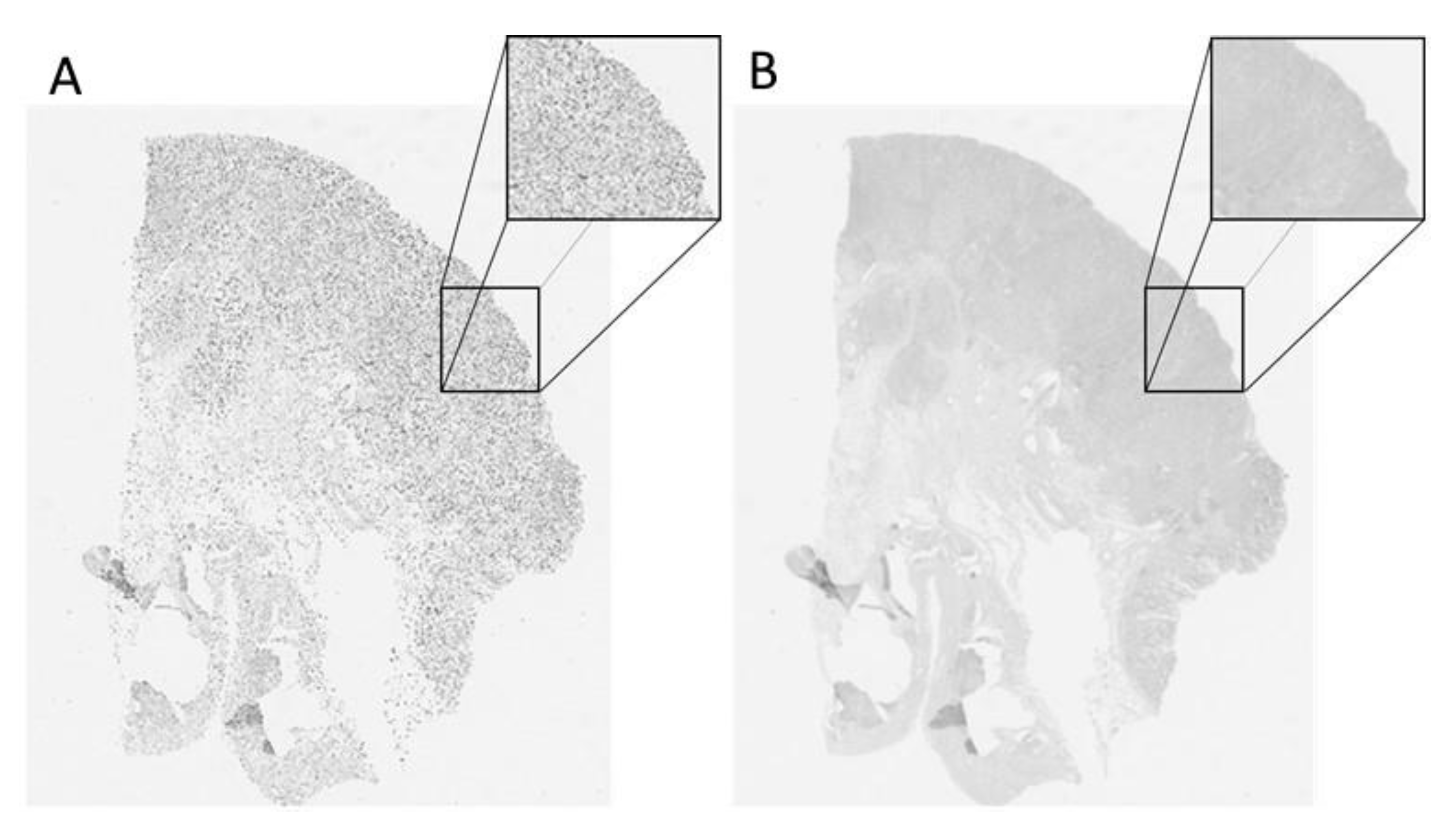 Applsci 11 01892 g004 Applsci 11 01892 g004
