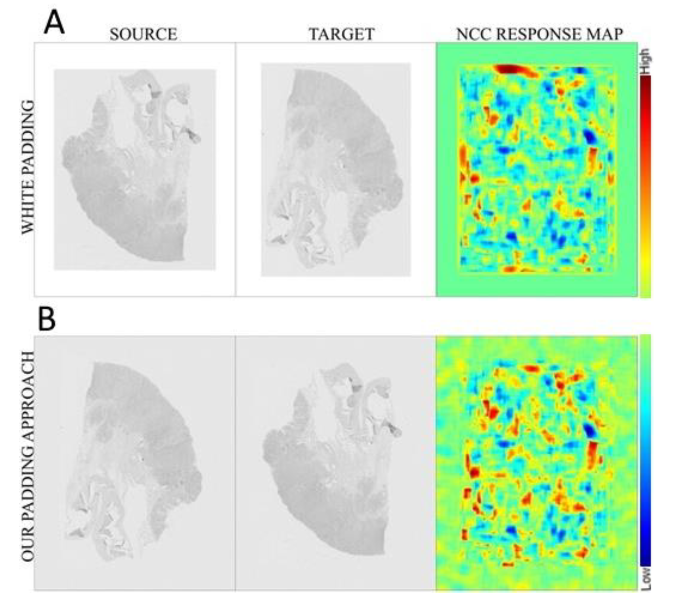 Applsci 11 01892 g005 Applsci 11 01892 g005