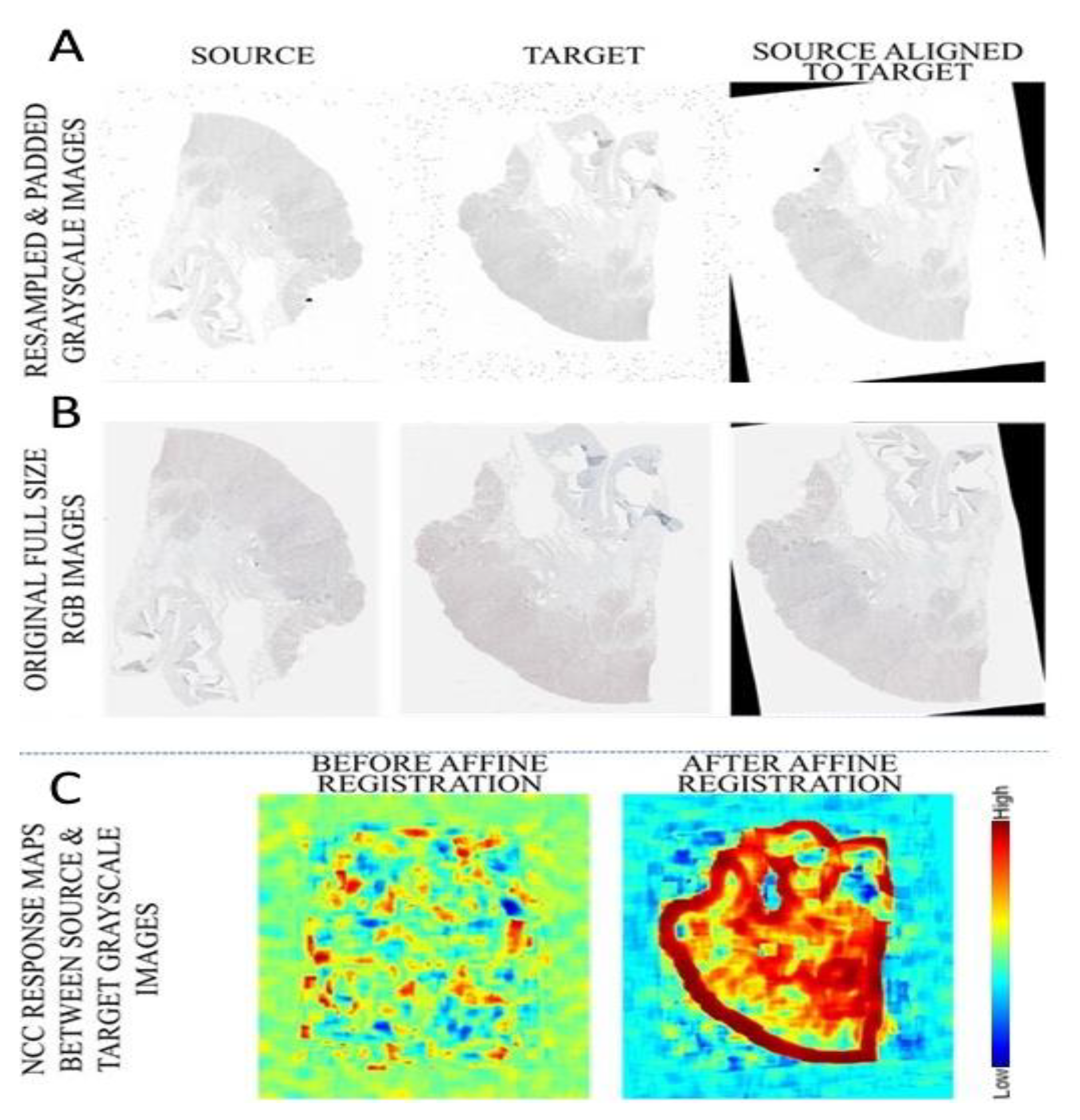 Applsci 11 01892 g007 Applsci 11 01892 g007