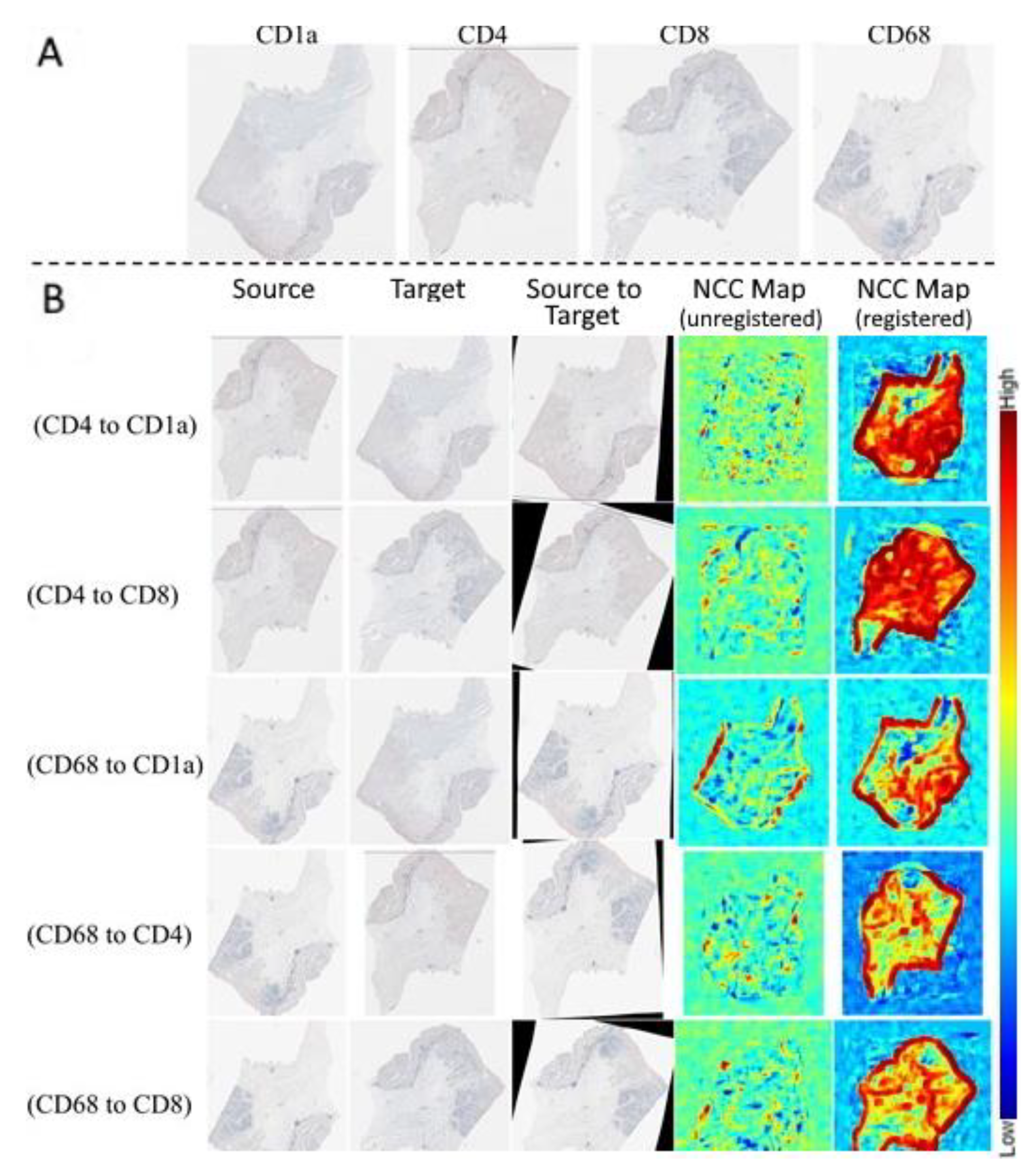 Applsci 11 01892 g012 Applsci 11 01892 g012