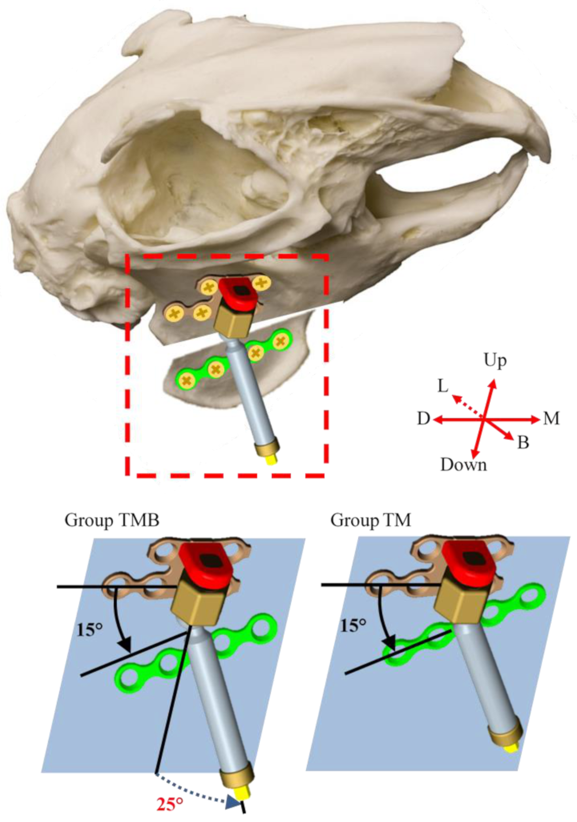 Applsci 11 01898 g002