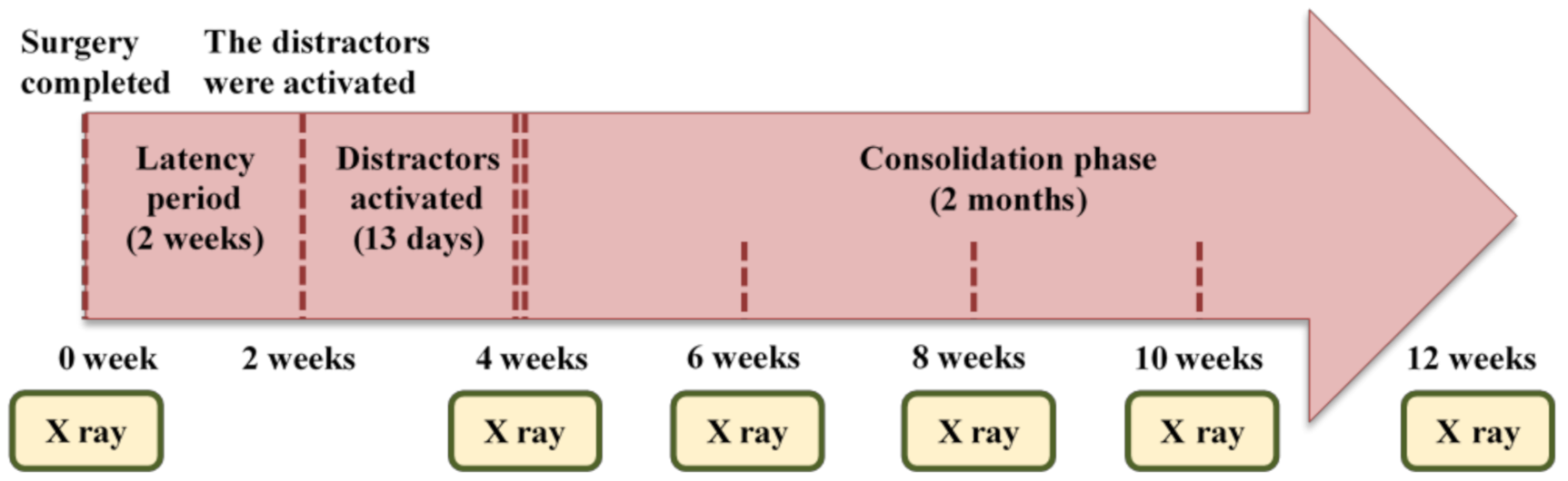 Applsci 11 01898 g003