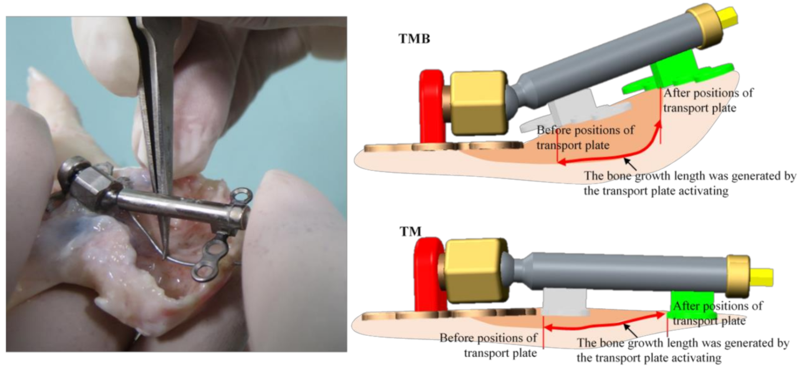 Applsci 11 01898 g004