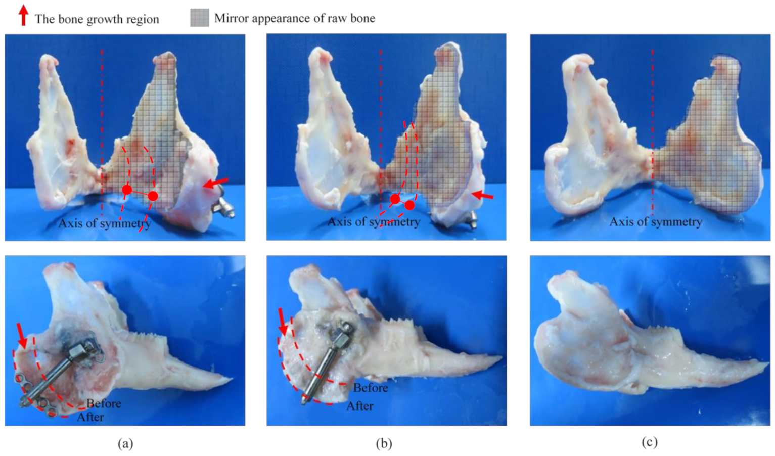 Applsci 11 01898 g005