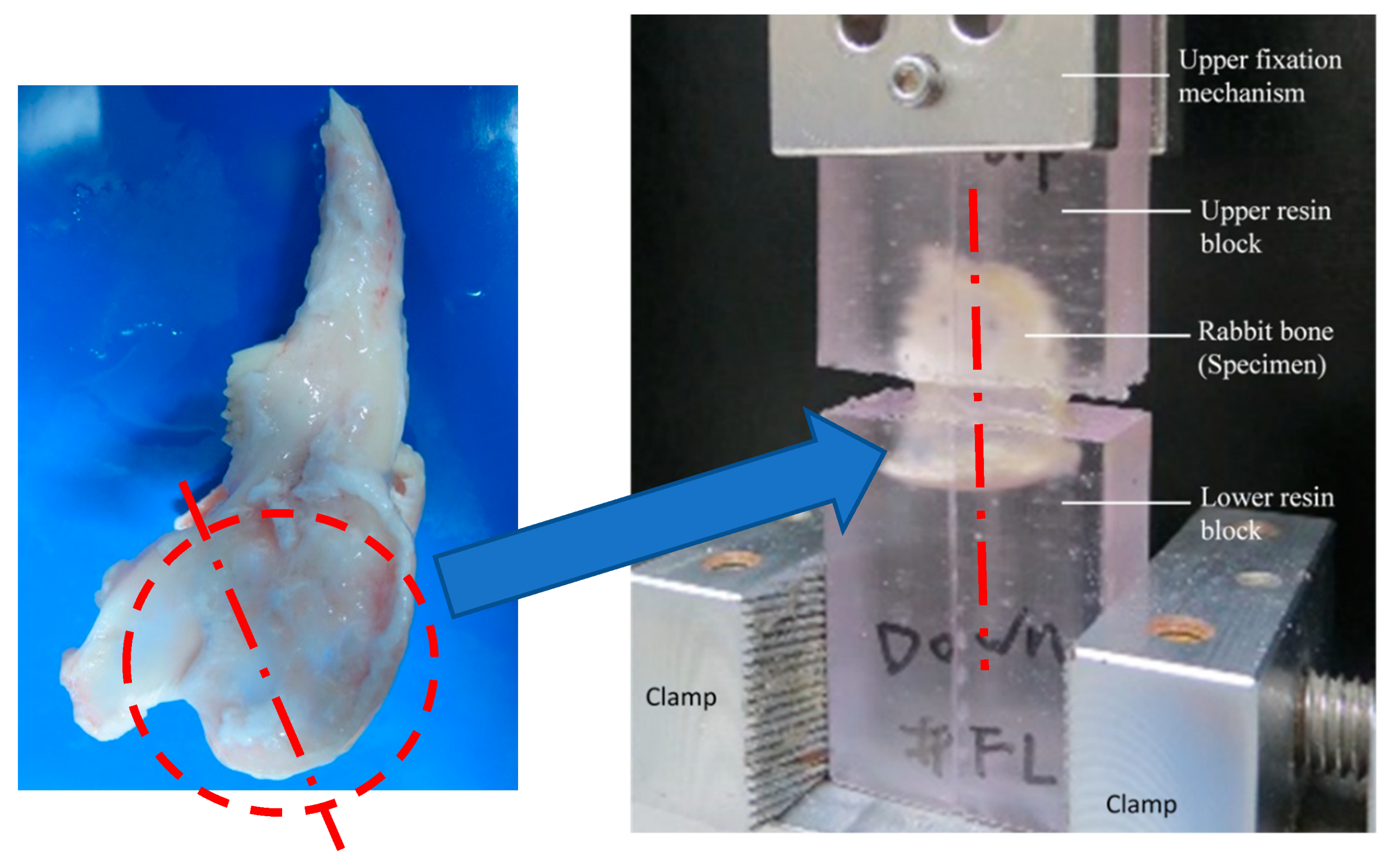 Applsci 11 01898 g006