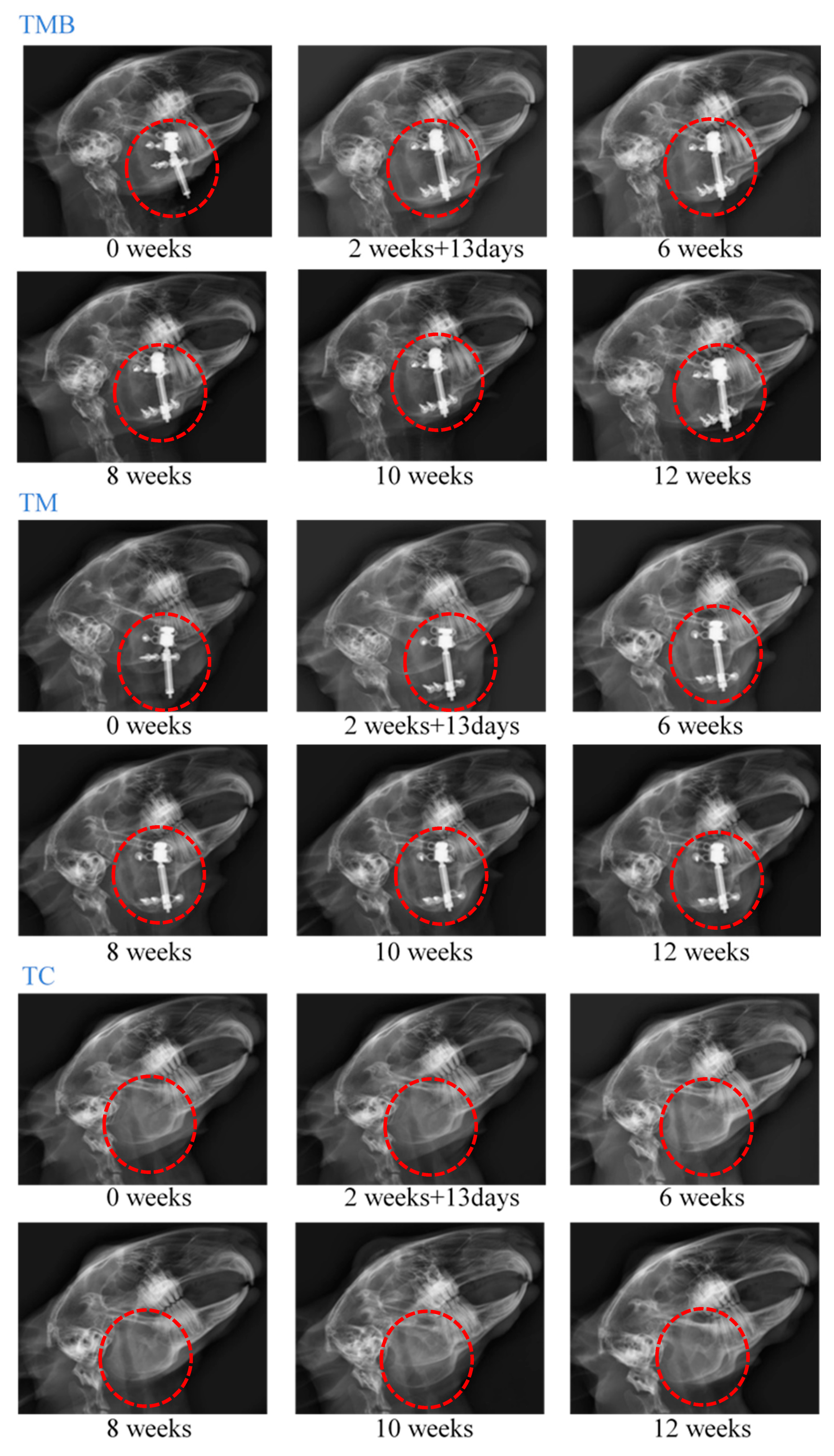 Applsci 11 01898 g007