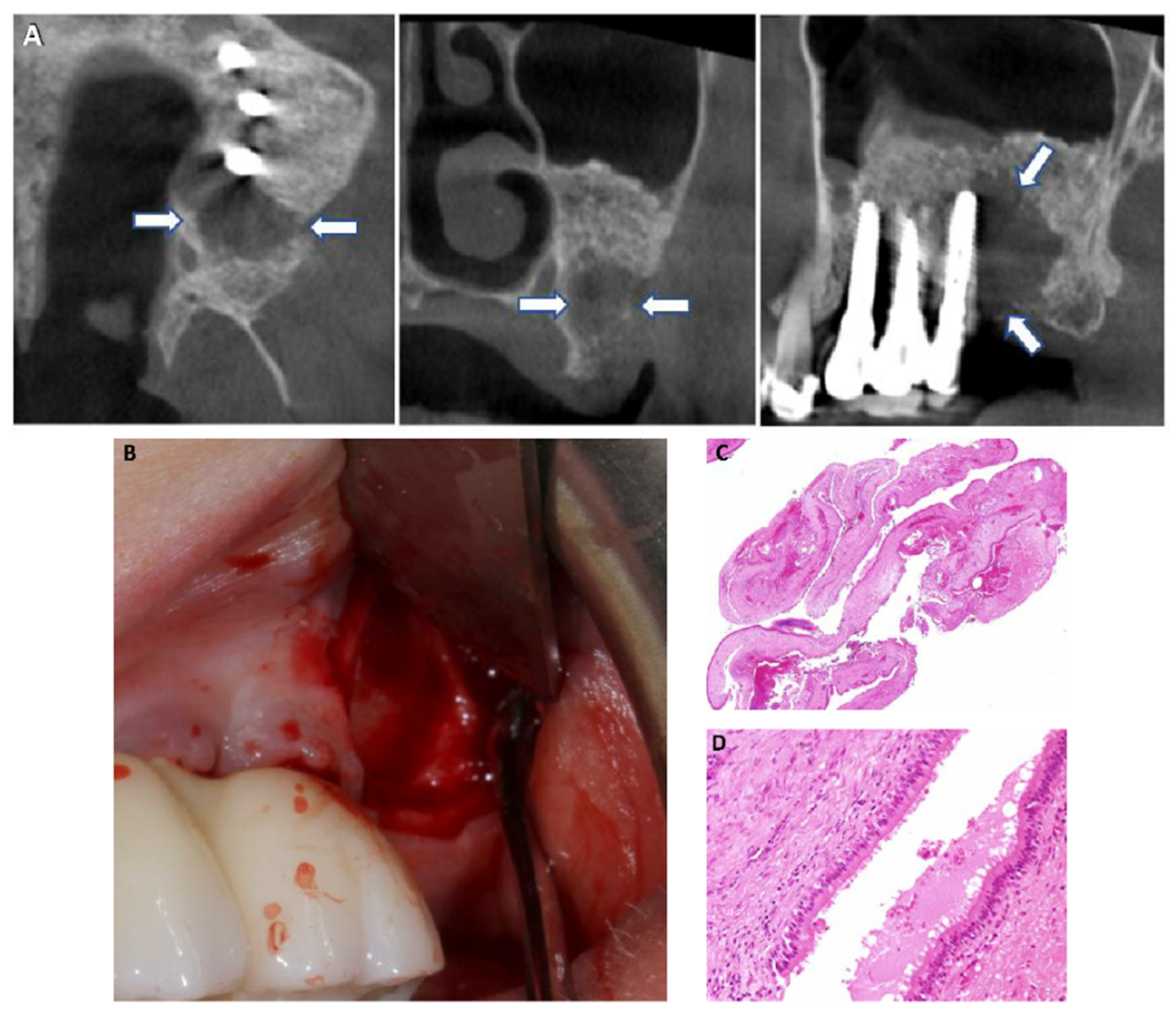 Applsci 11 01903 g001 Applsci 11 01903 g001