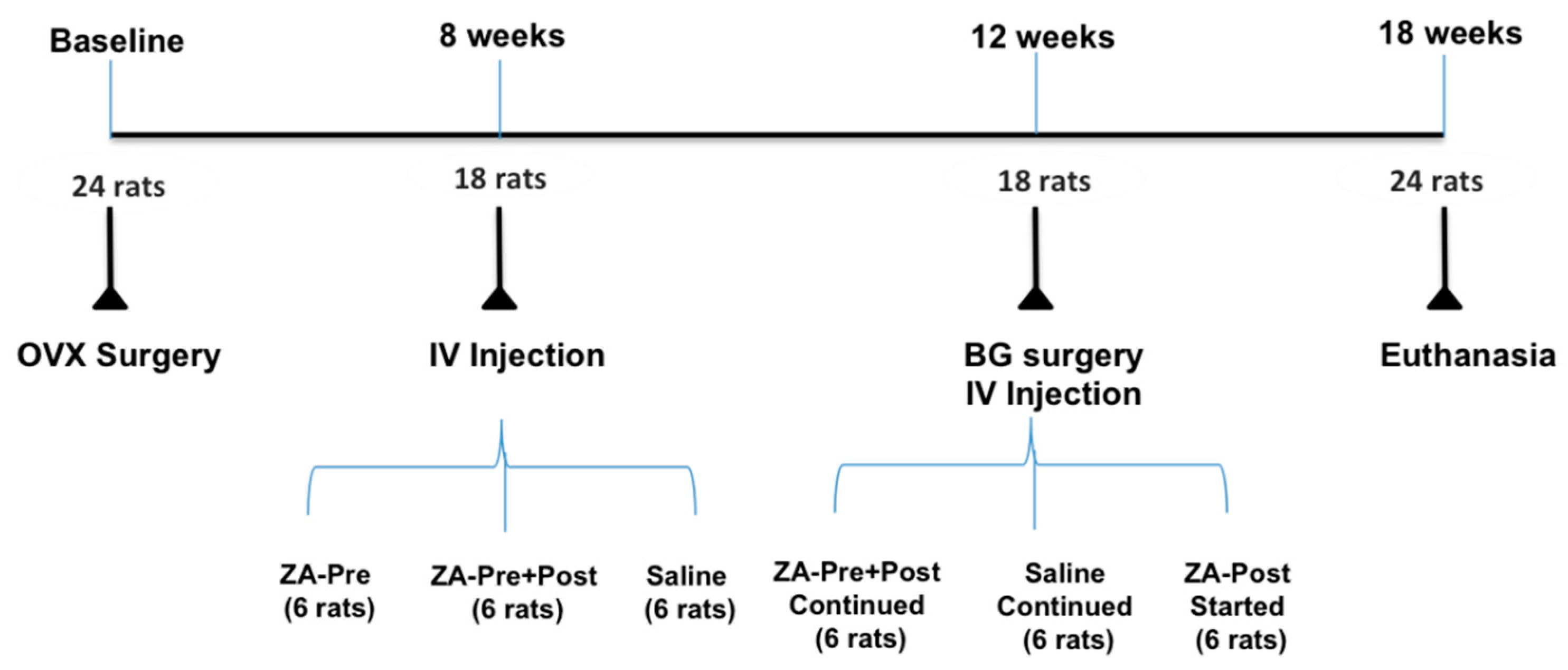 Applsci 11 01906 g001 Applsci 11 01906 g001