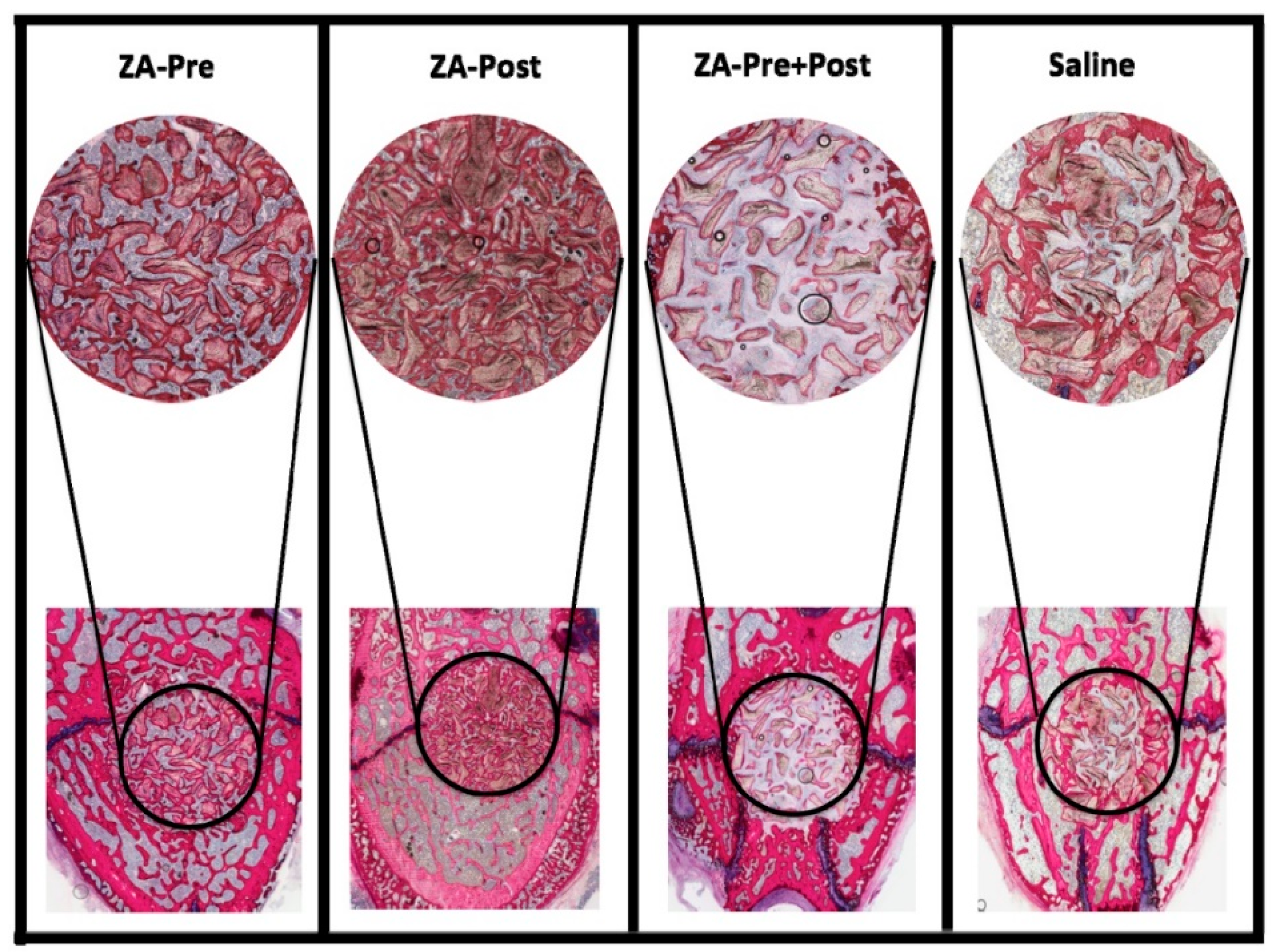Applsci 11 01906 g002 Applsci 11 01906 g002