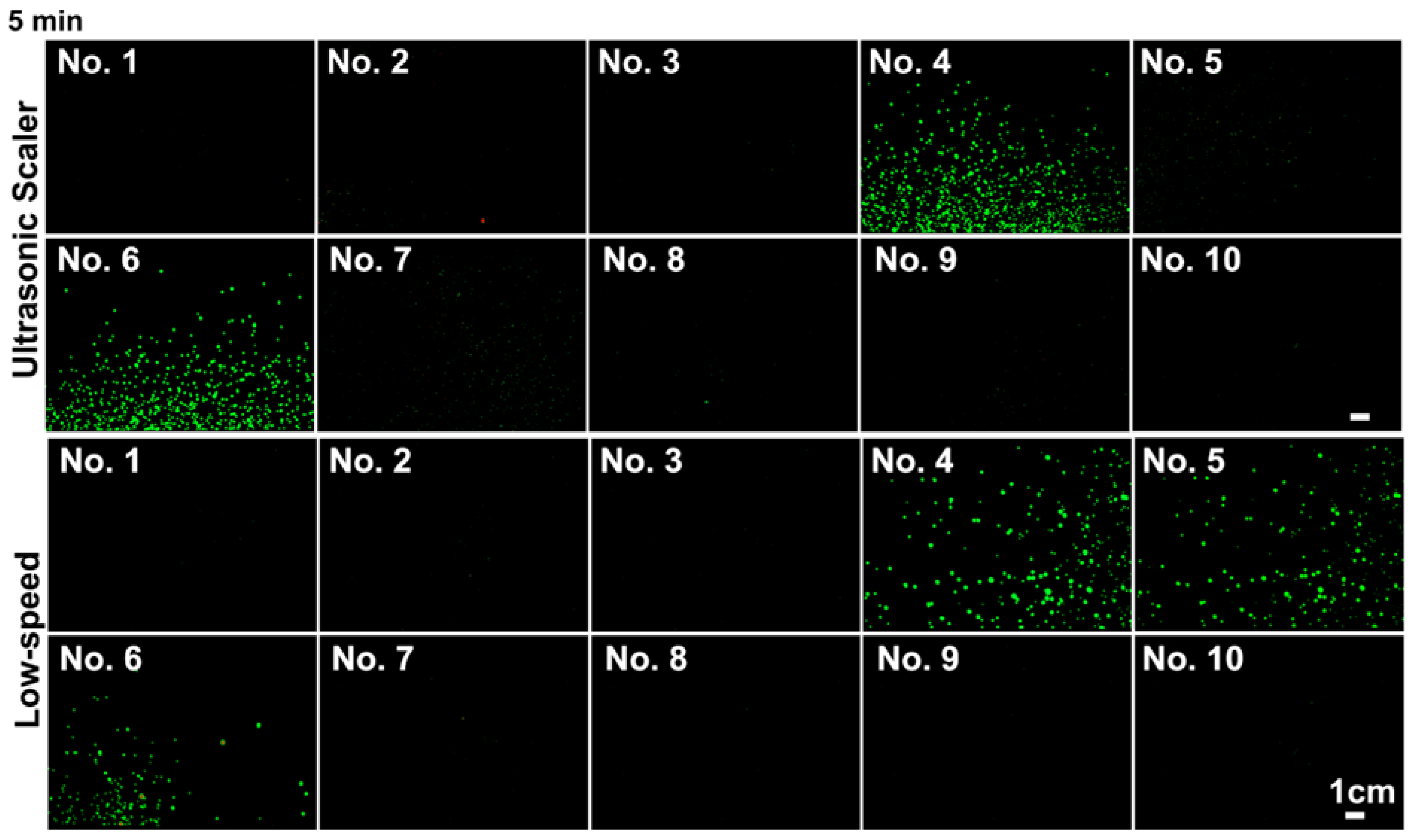 Applsci 11 01914 g004