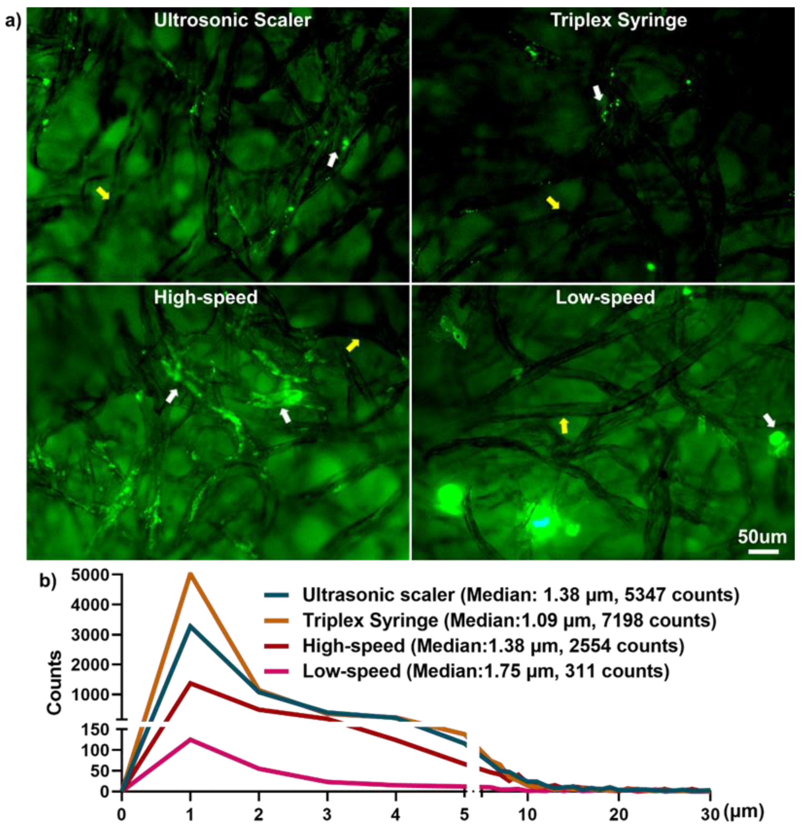 Applsci 11 01914 g005