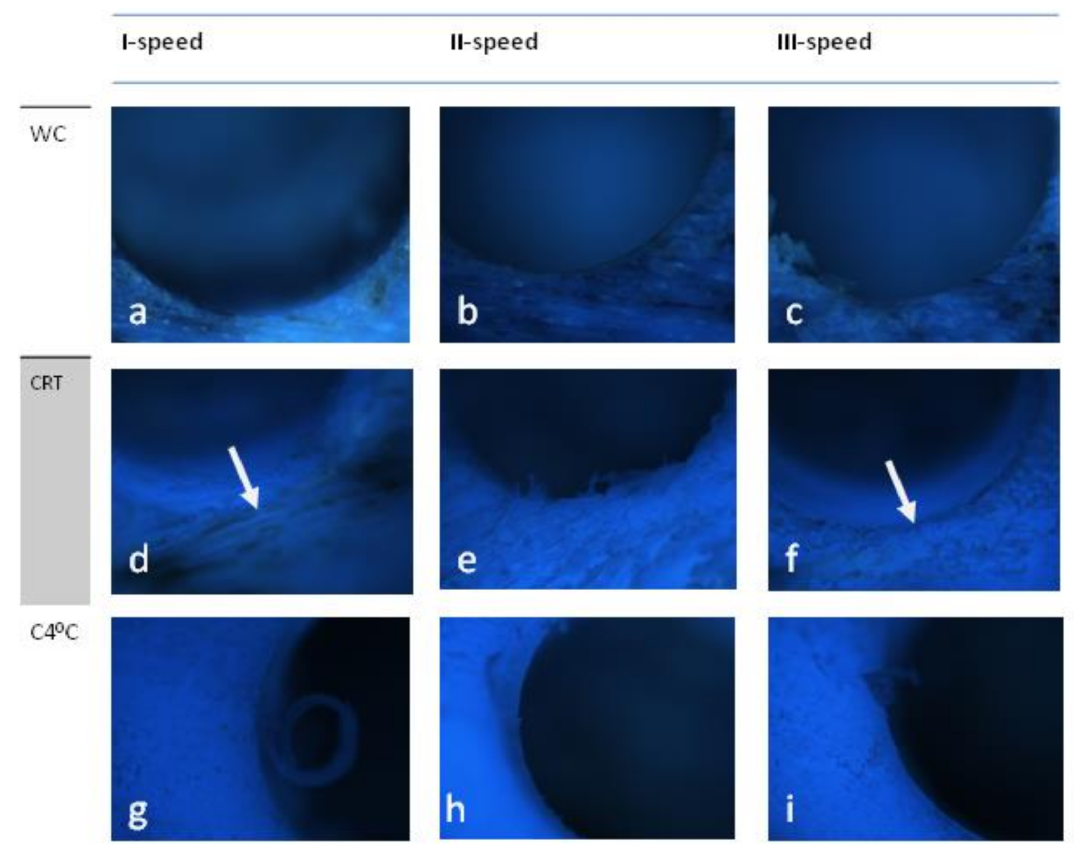 Applsci 11 01916 g002