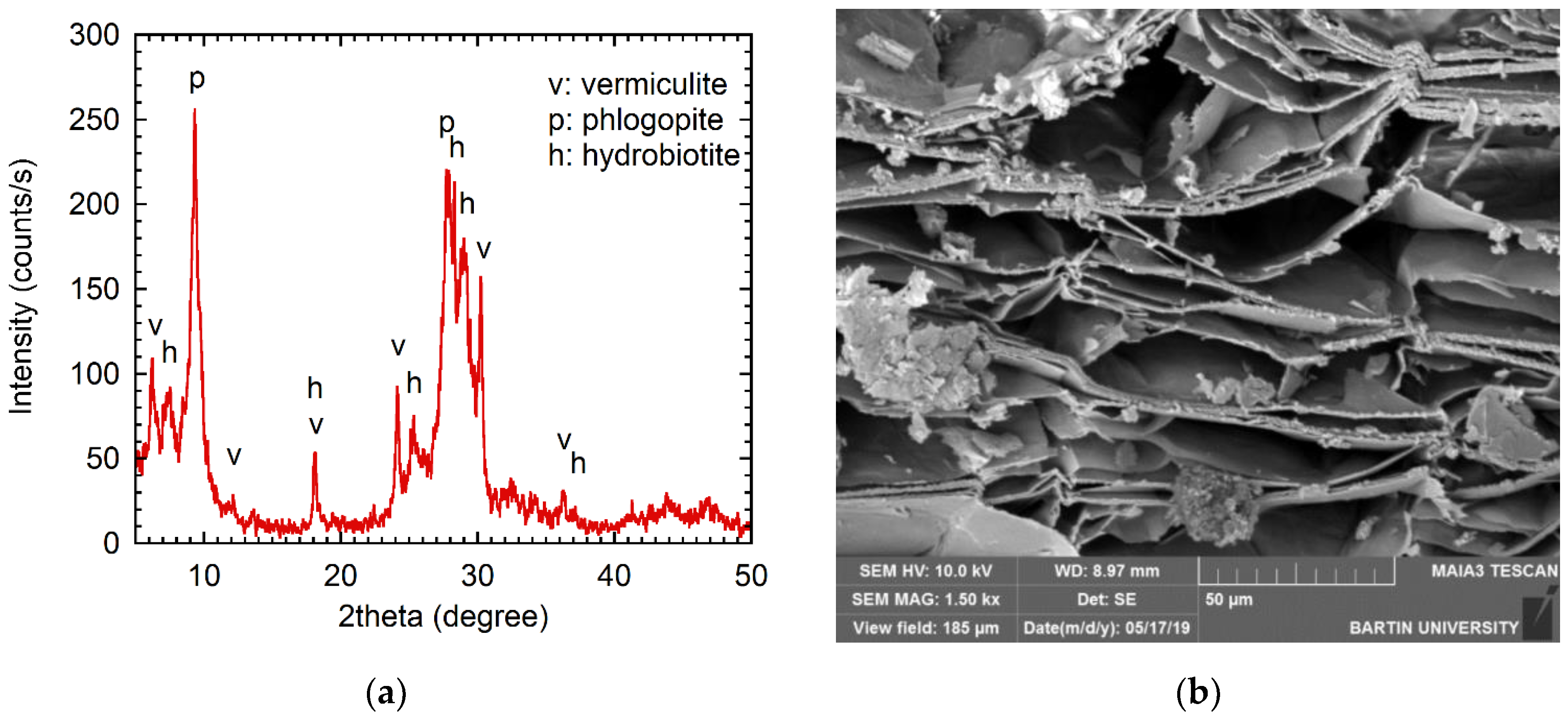 Applsci 11 01917 g002
