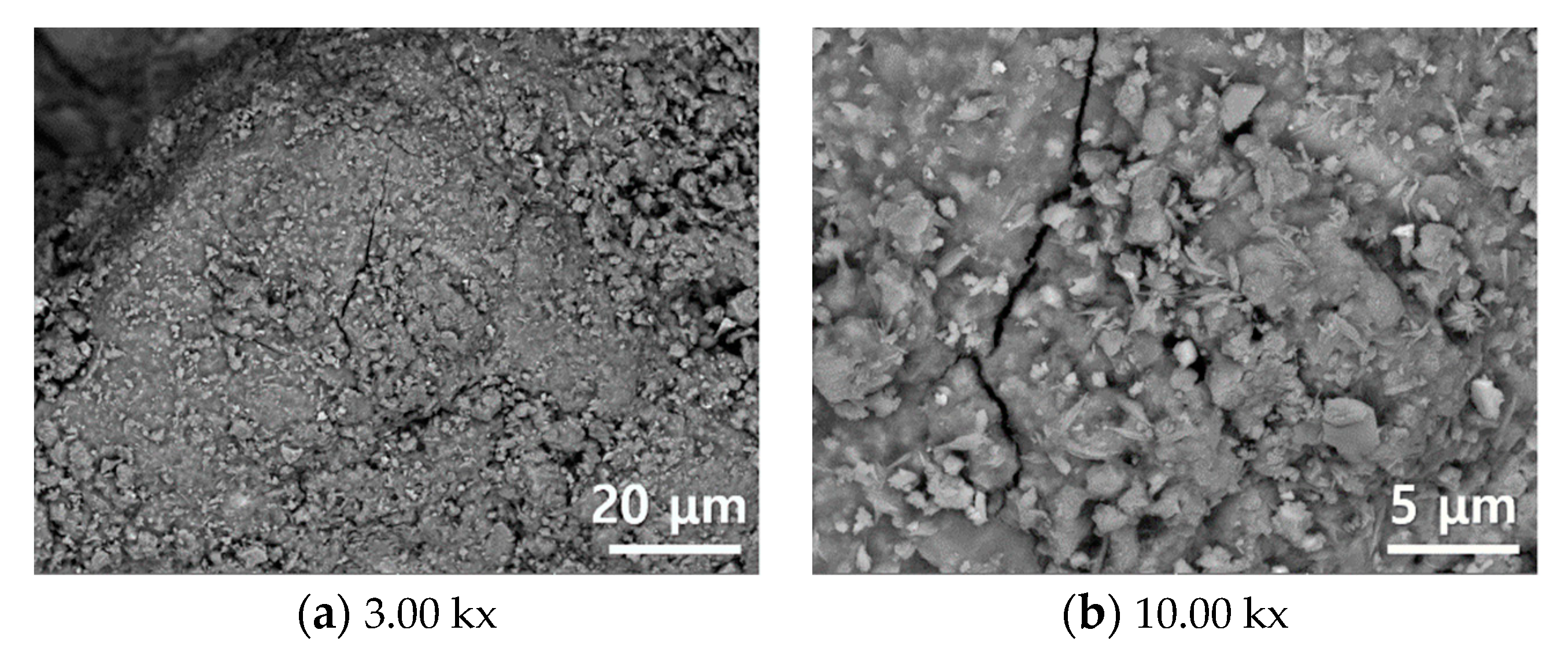 Applsci 11 01918 g006 Applsci 11 01918 g006