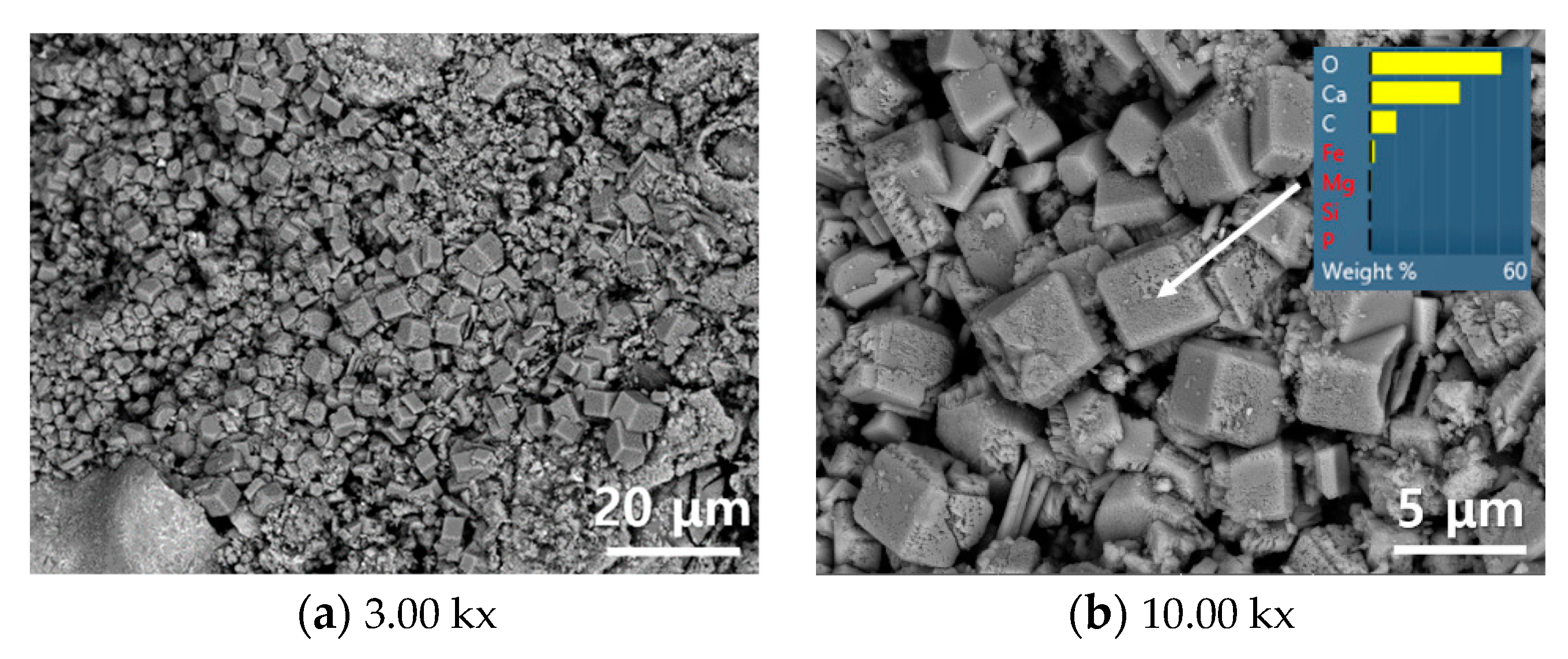 Applsci 11 01918 g007 Applsci 11 01918 g007