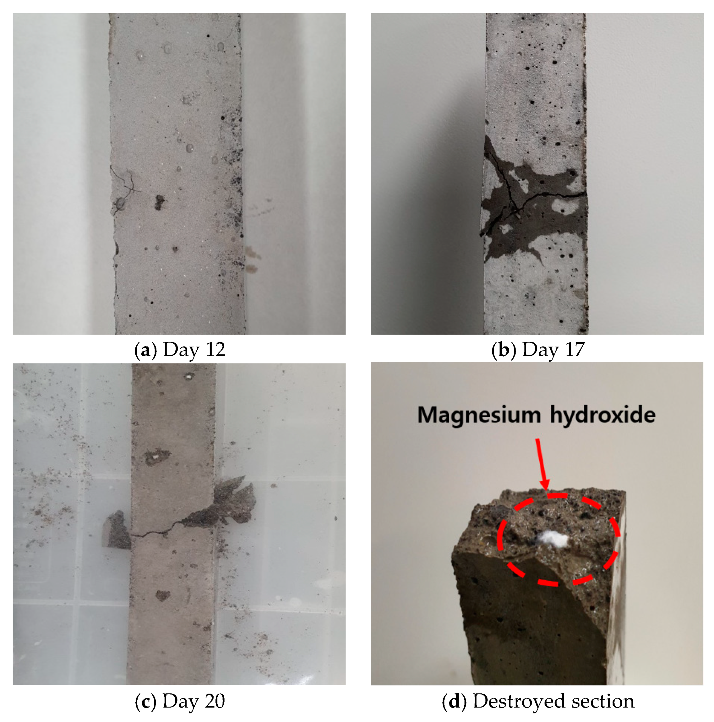 Applsci 11 01918 g009 Applsci 11 01918 g009