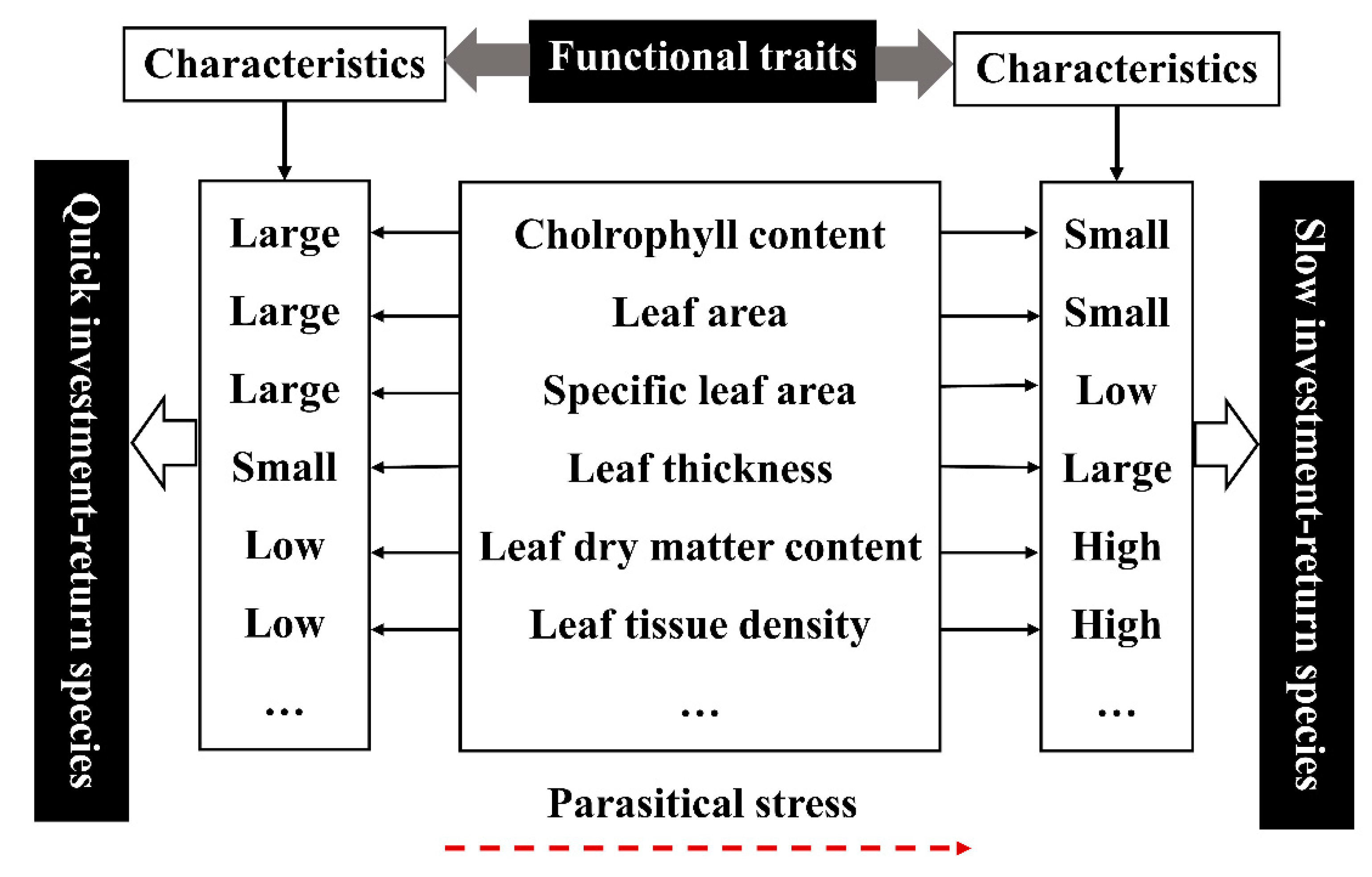Applied Sciences Free Full Text The Changes Of Leaf Reflectance Spectrum And Leaf Functional Traits Of Osmanthus Fragrans Are Related To The Parasitism Of Cuscuta Japonica Html Applied Sciences Free Full Text The Changes Of Leaf Reflectance Spectrum And Leaf Functional Traits Of Osmanthus Fragrans Are Related To The Parasitism Of Cuscuta Japonica Html