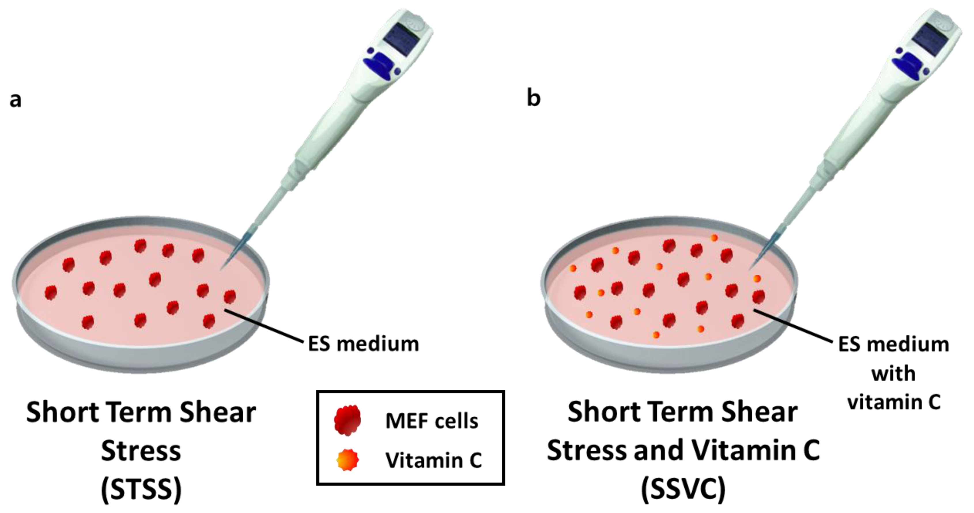 Applsci 11 01941 g001