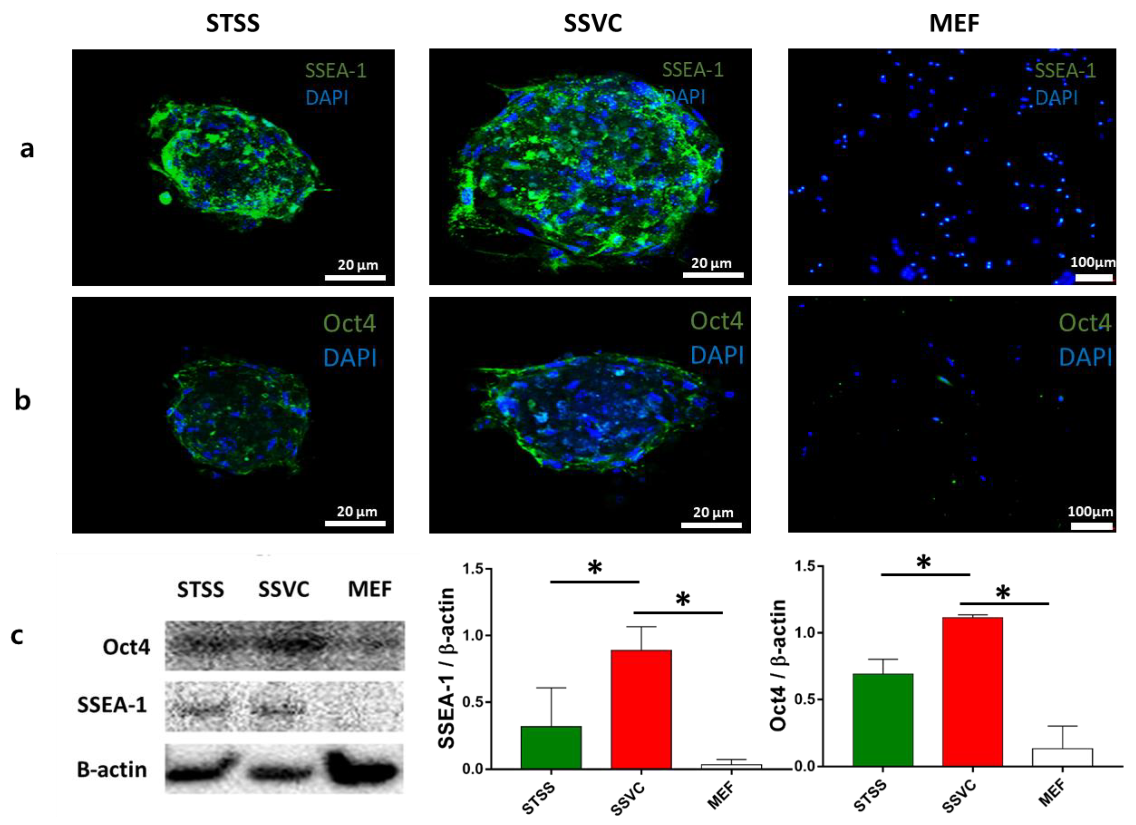 Applsci 11 01941 g003