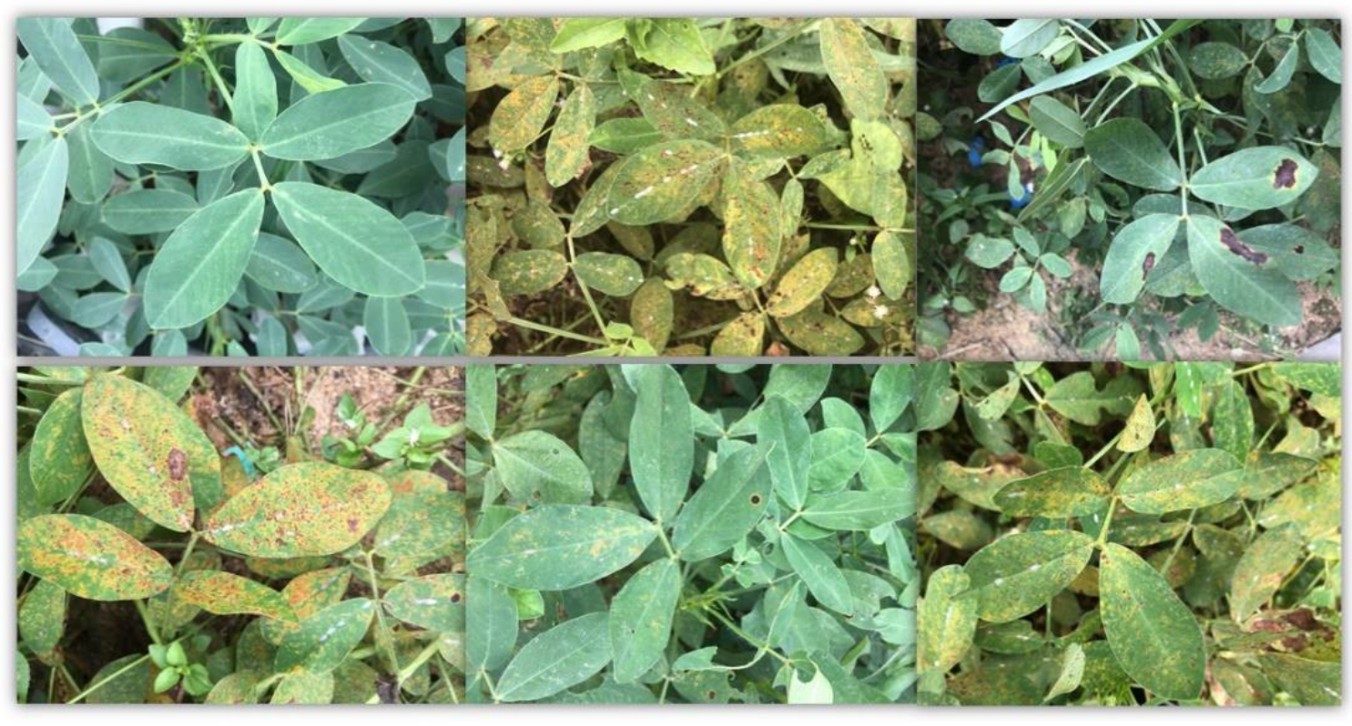 Applsci 11 01950 g001 Applsci 11 01950 g001