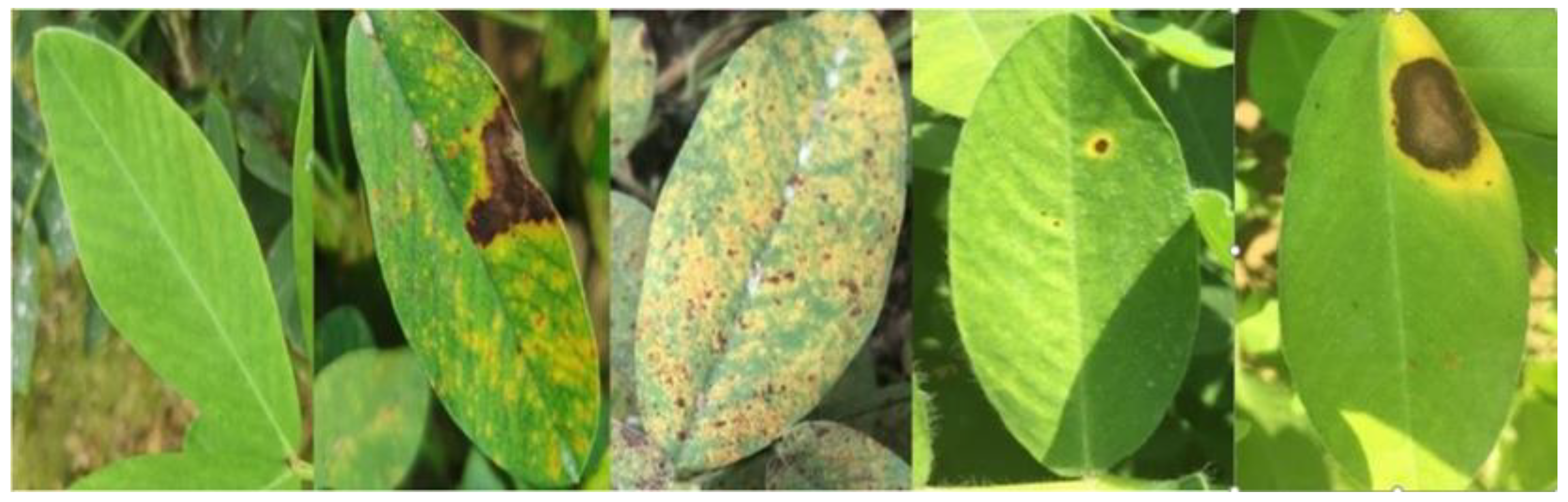 Applsci 11 01950 g002 Applsci 11 01950 g002