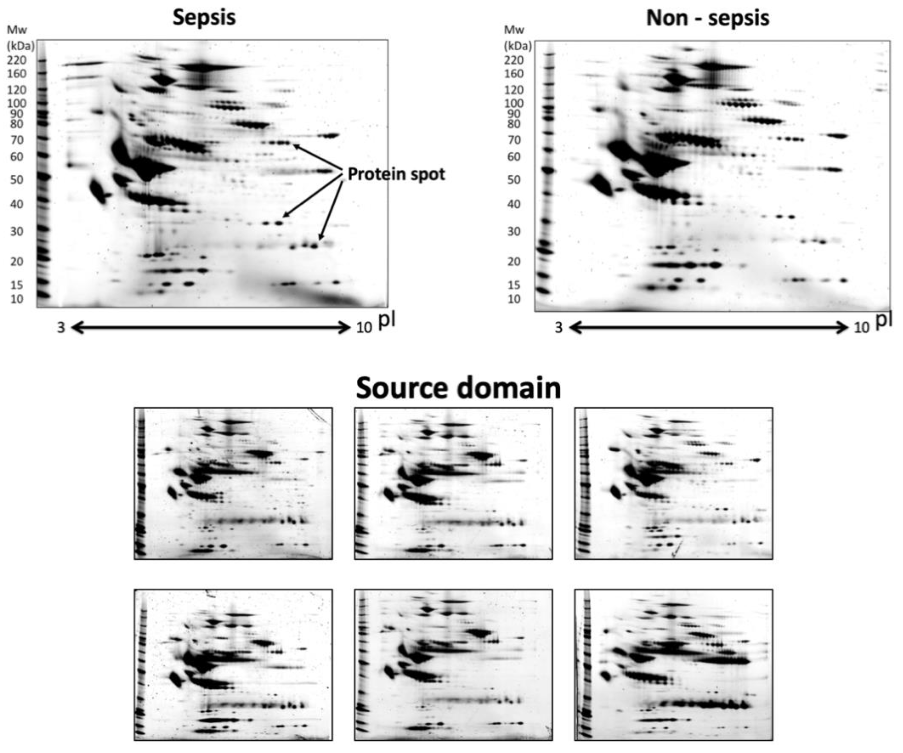 Applsci 11 01967 g003