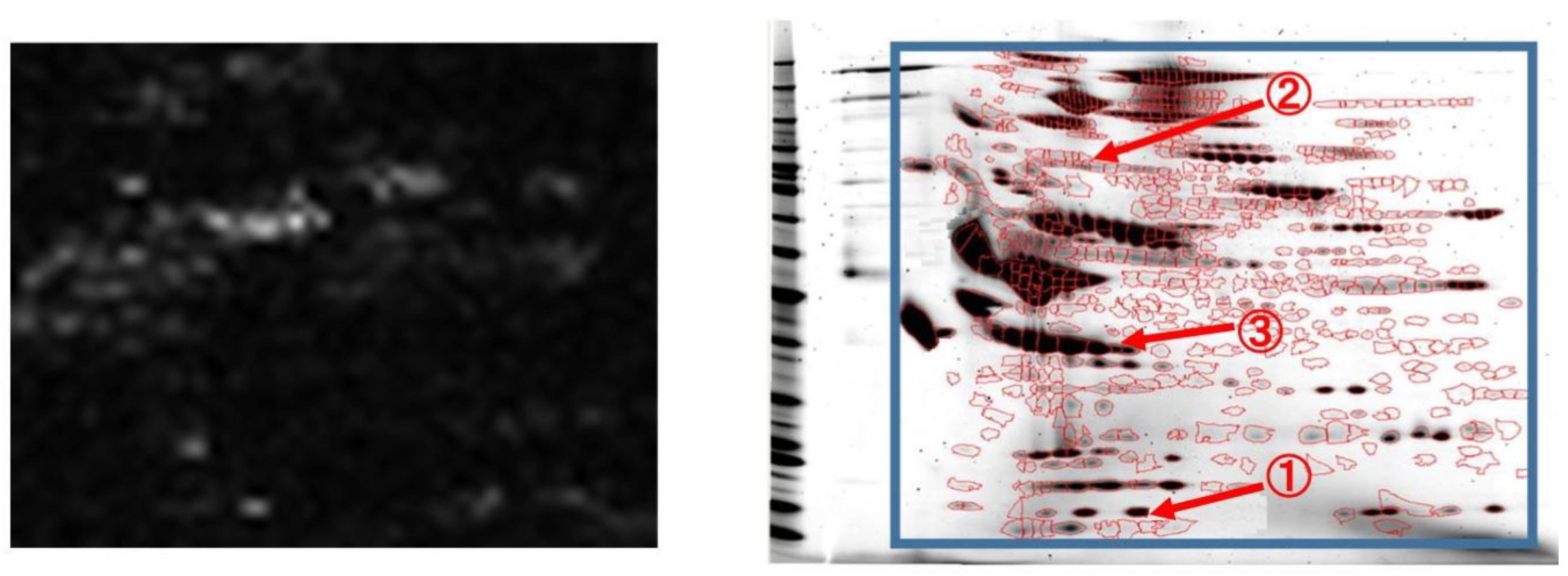 Applsci 11 01967 g004